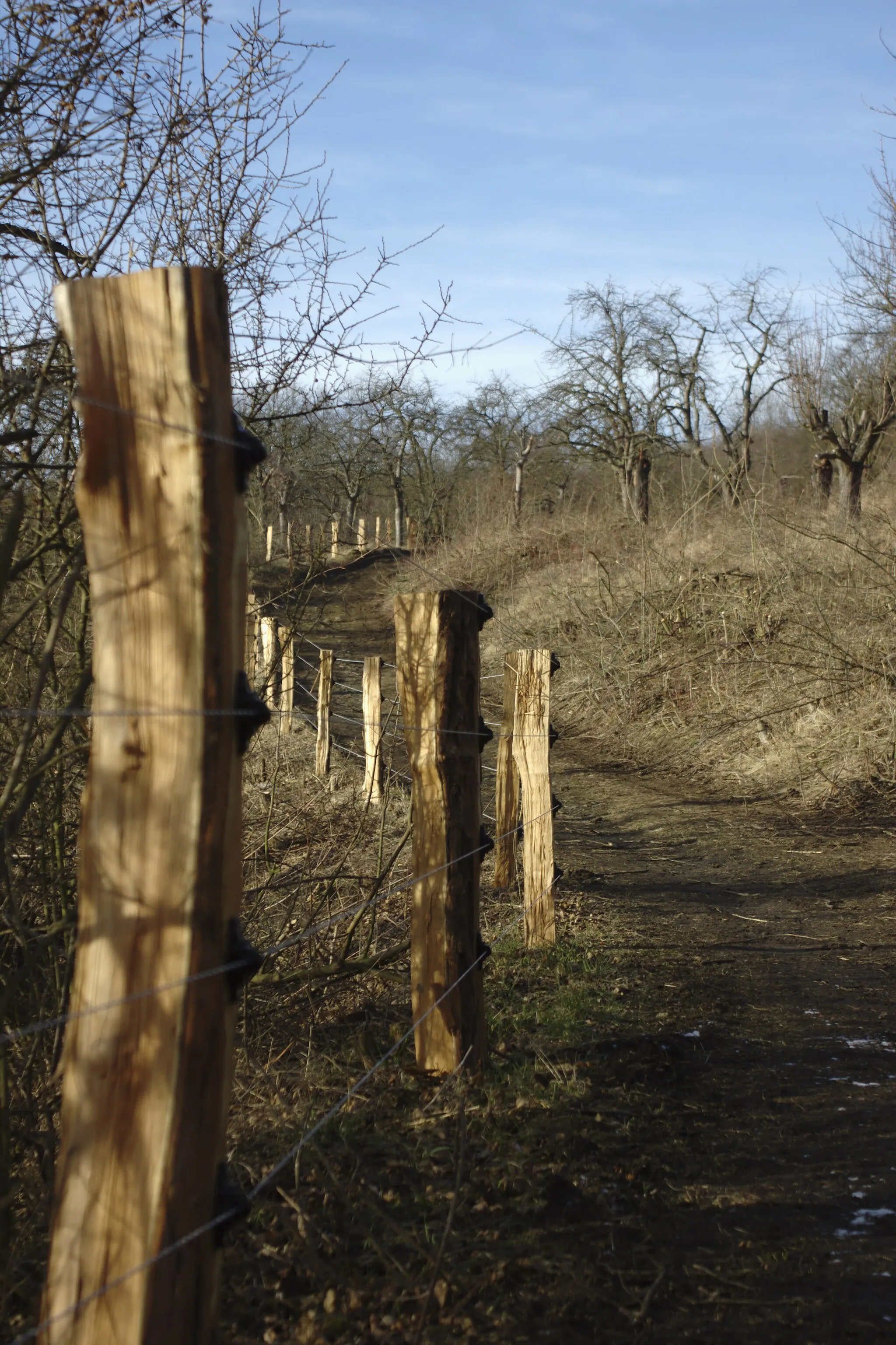 Photo showing: The road to Vinařická hora hill, Central Bohemian Region, CZ