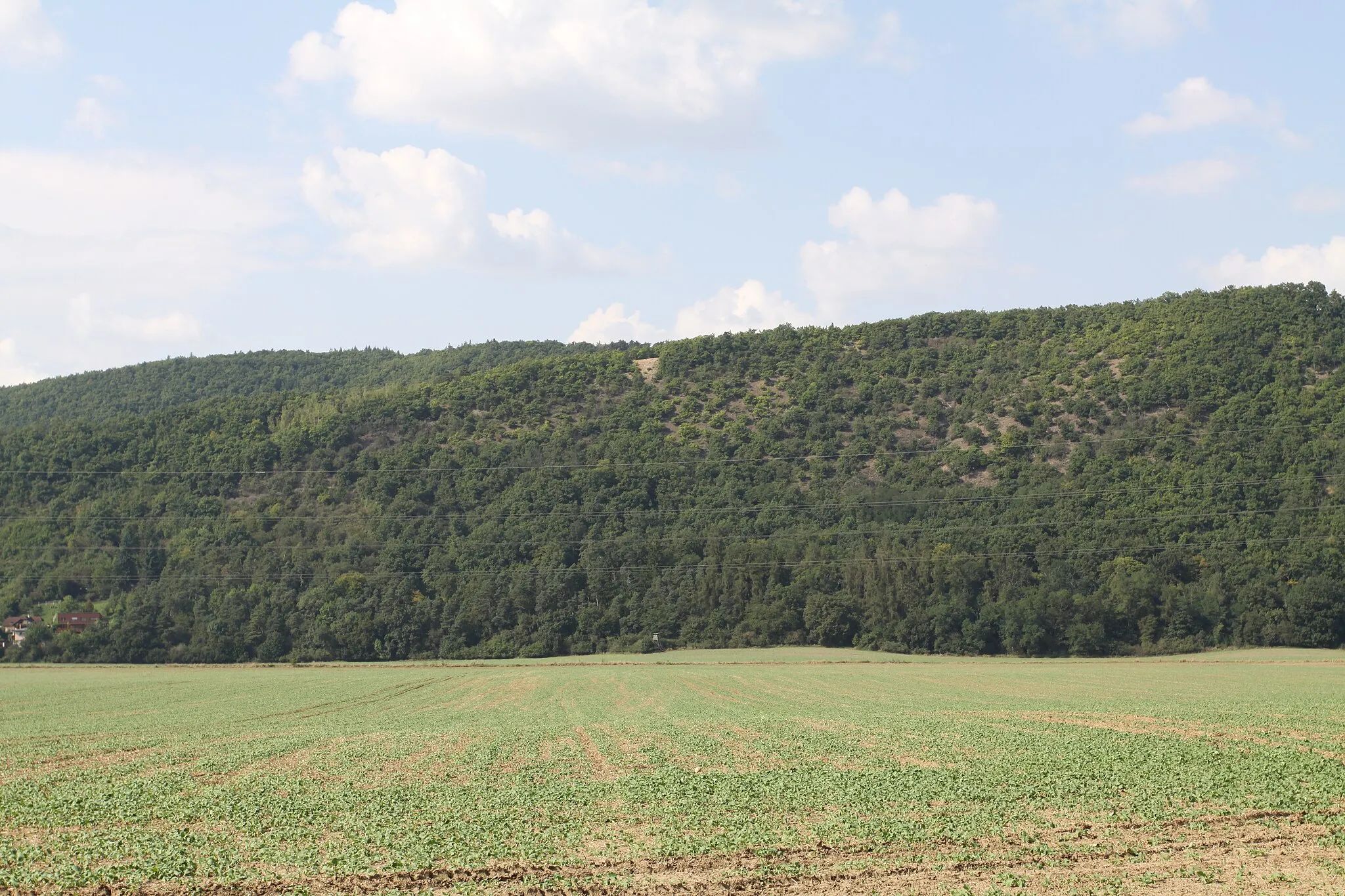 Photo showing: Natural monument Krásná stráň in Prague-West District, Czech Republic