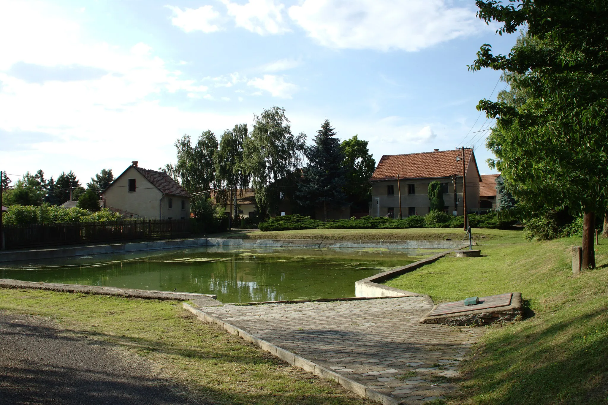 Photo showing: A pond in the village of Vražkov, Ústí Region, CZ