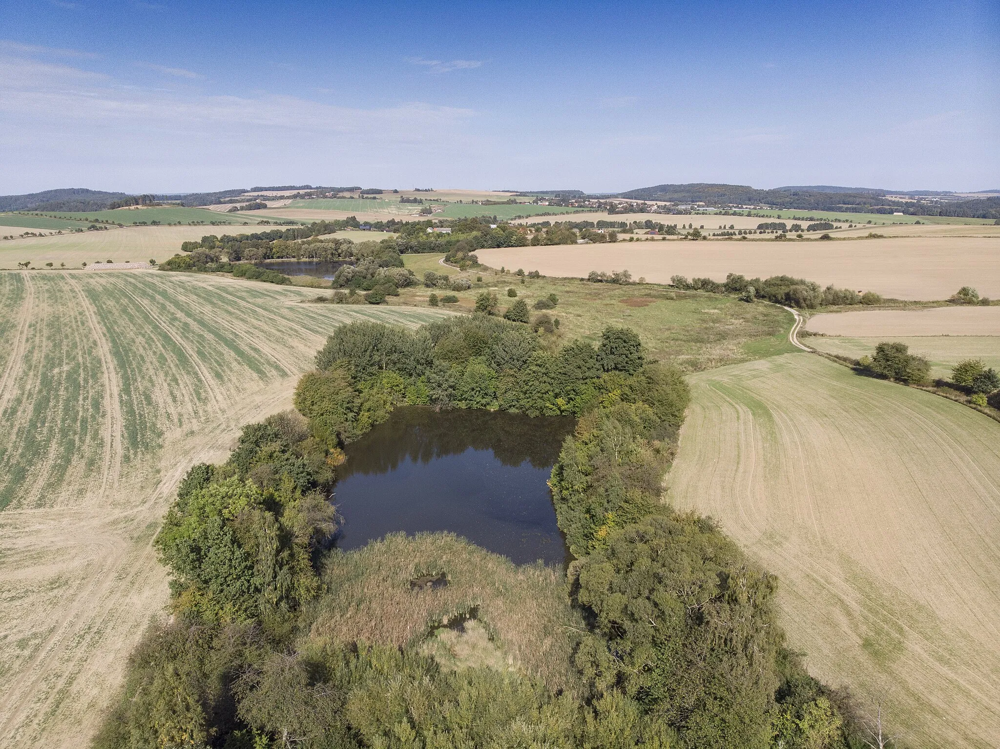 Photo showing: Ocásek pond near Čeňovice, Czech Republic