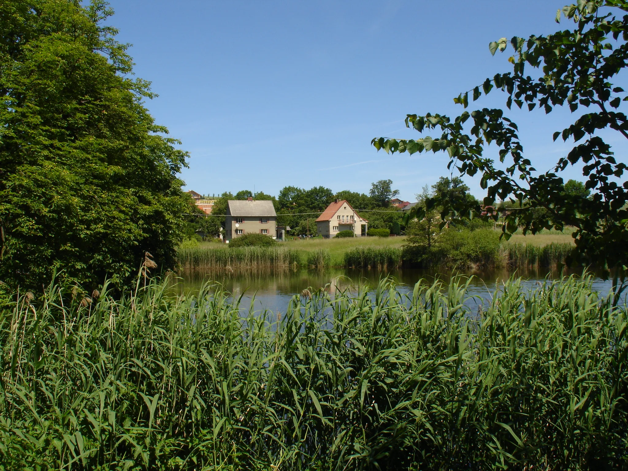 Photo showing: Pyšely, rybník Prádlo.