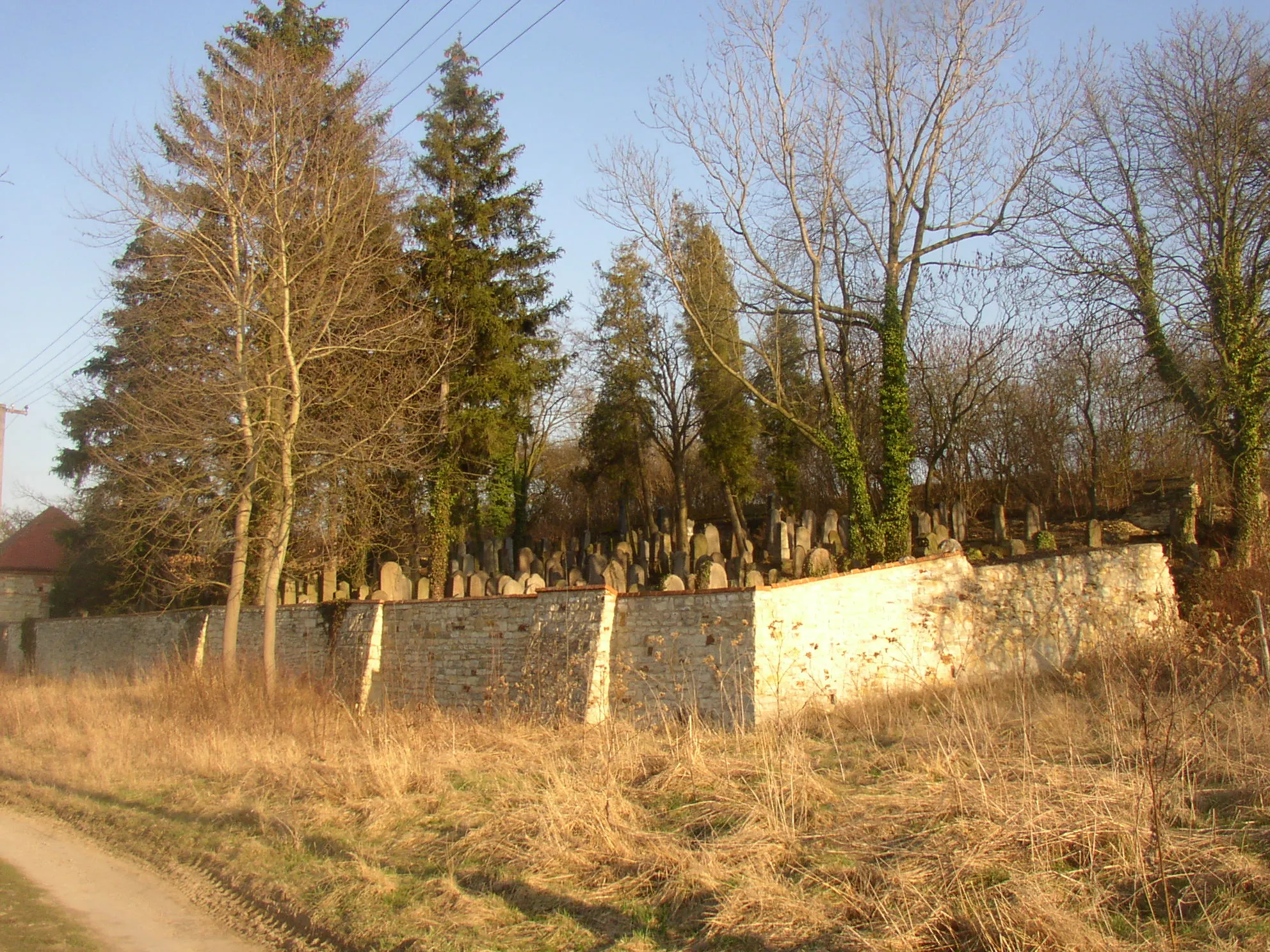 Photo showing: So called New Jewish cemetery near village of Hostouň, Kladno District, Czech Republic. General view from northwest.