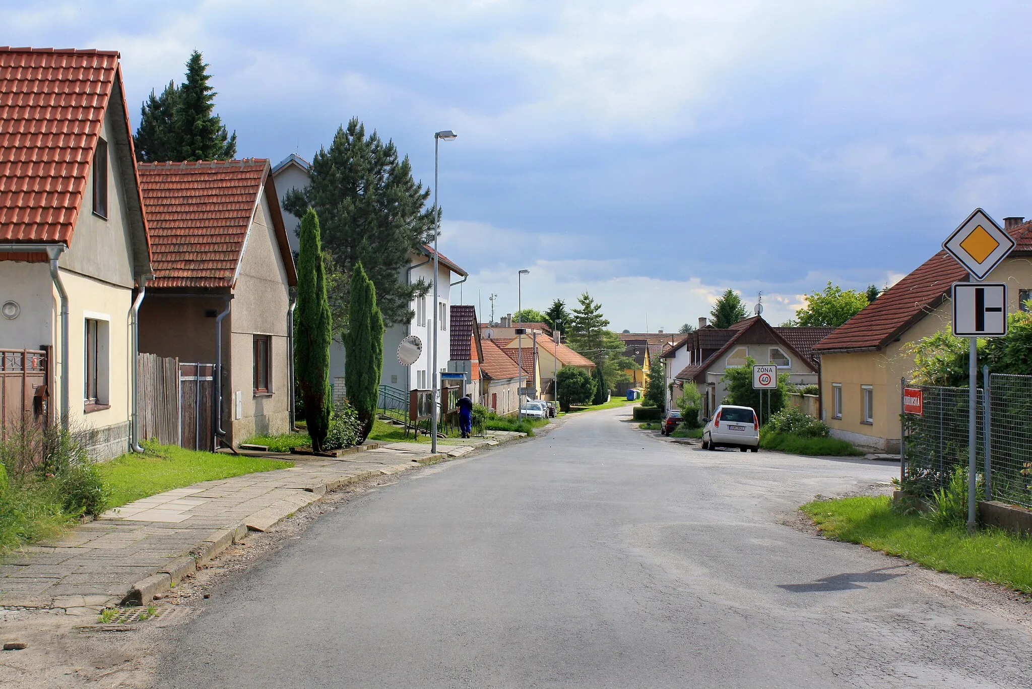 Photo showing: Common in Tatce village, Czech Republic