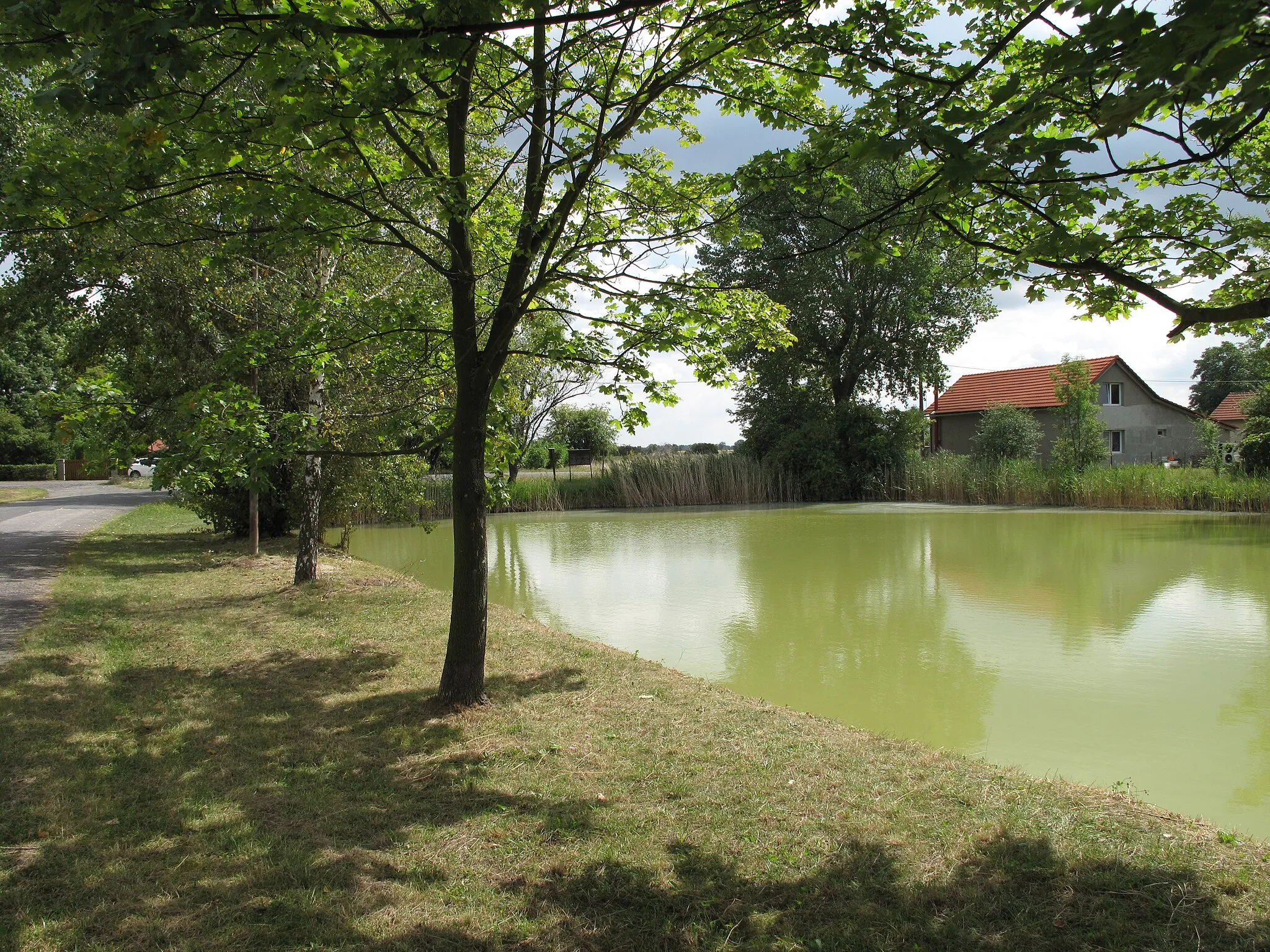 Photo showing: Pond in the village in Újezdek. District of Mělník, Czech Republic.