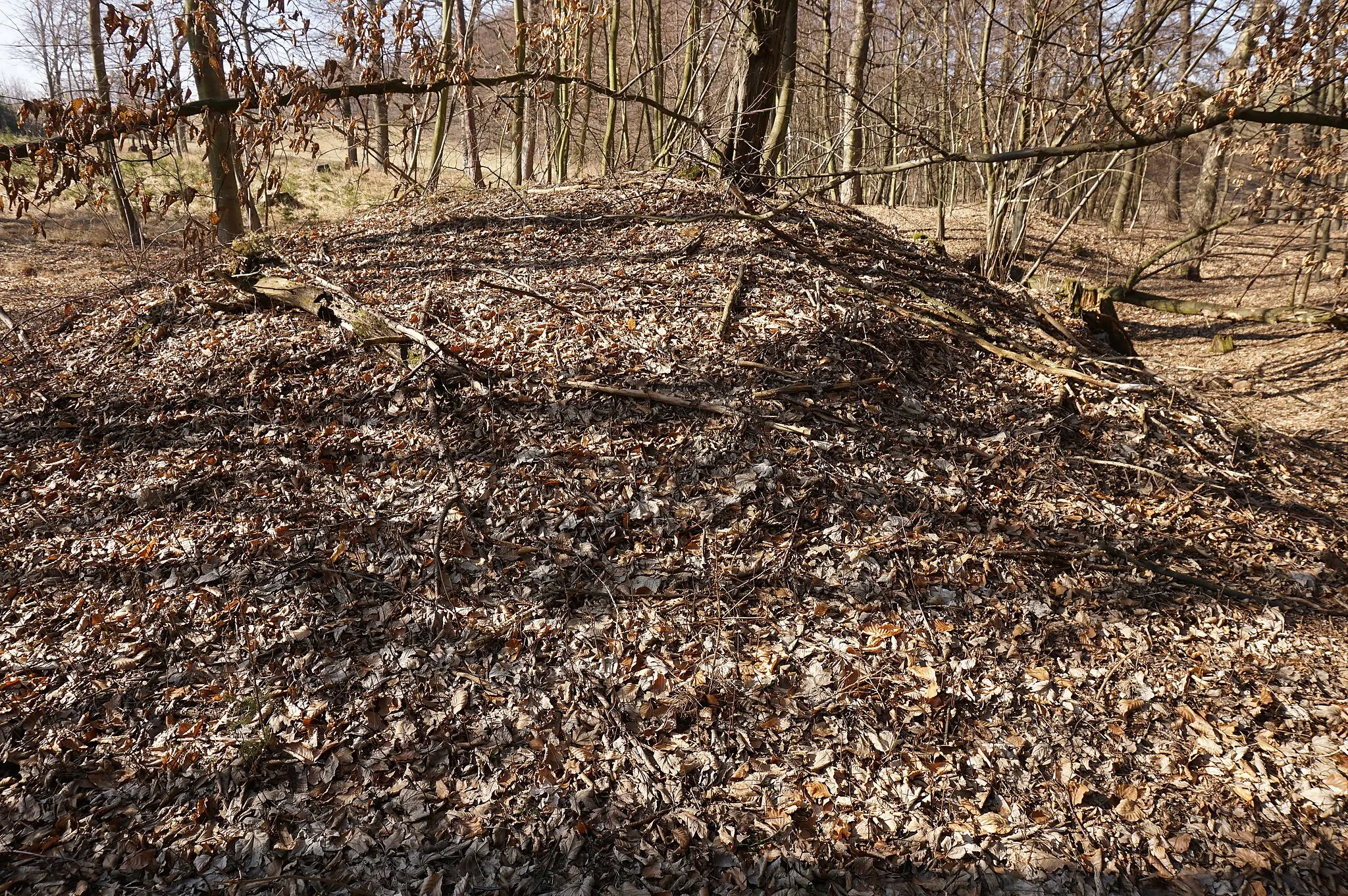 Photo showing: This is a photo of a cultural monument of the Czech Republic, number: