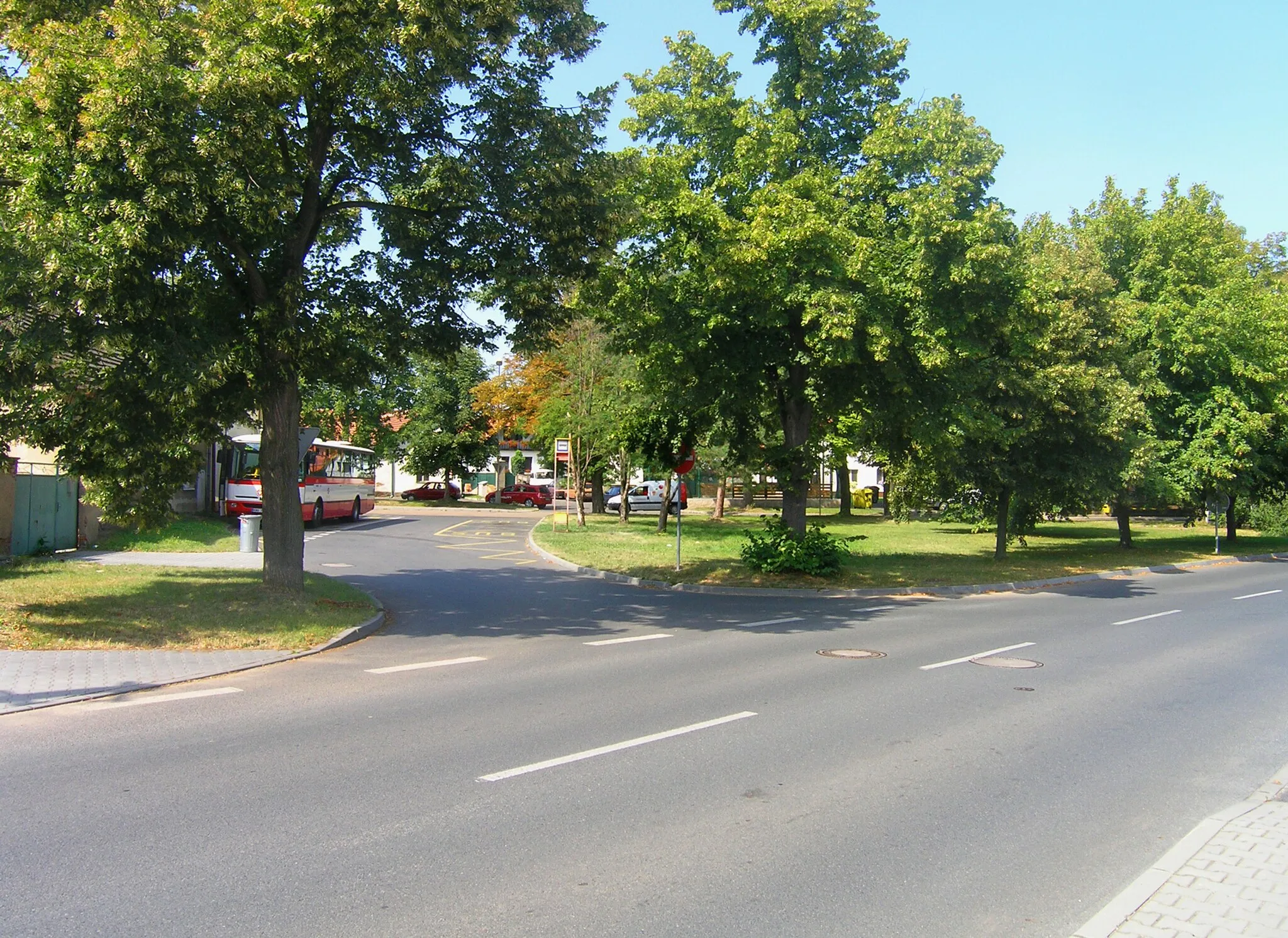 Photo showing: Common in Čestlice. Czech Republic