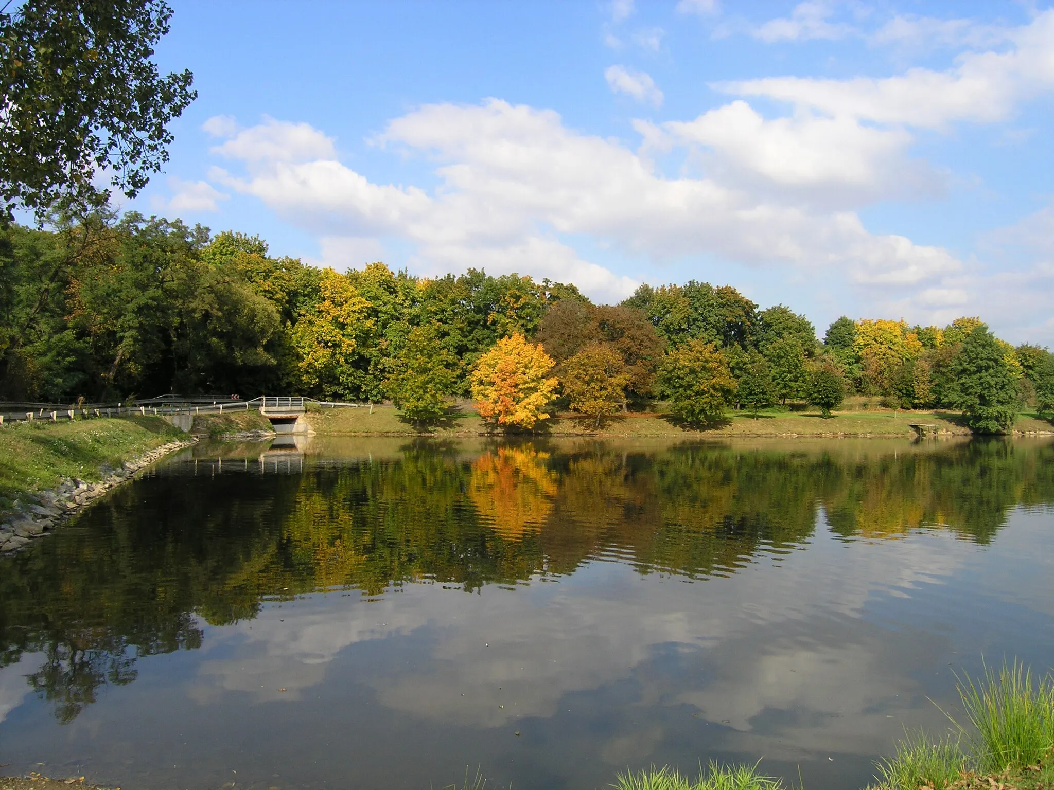 Photo showing: Pond in the east part of Sluštice, Czech Republic