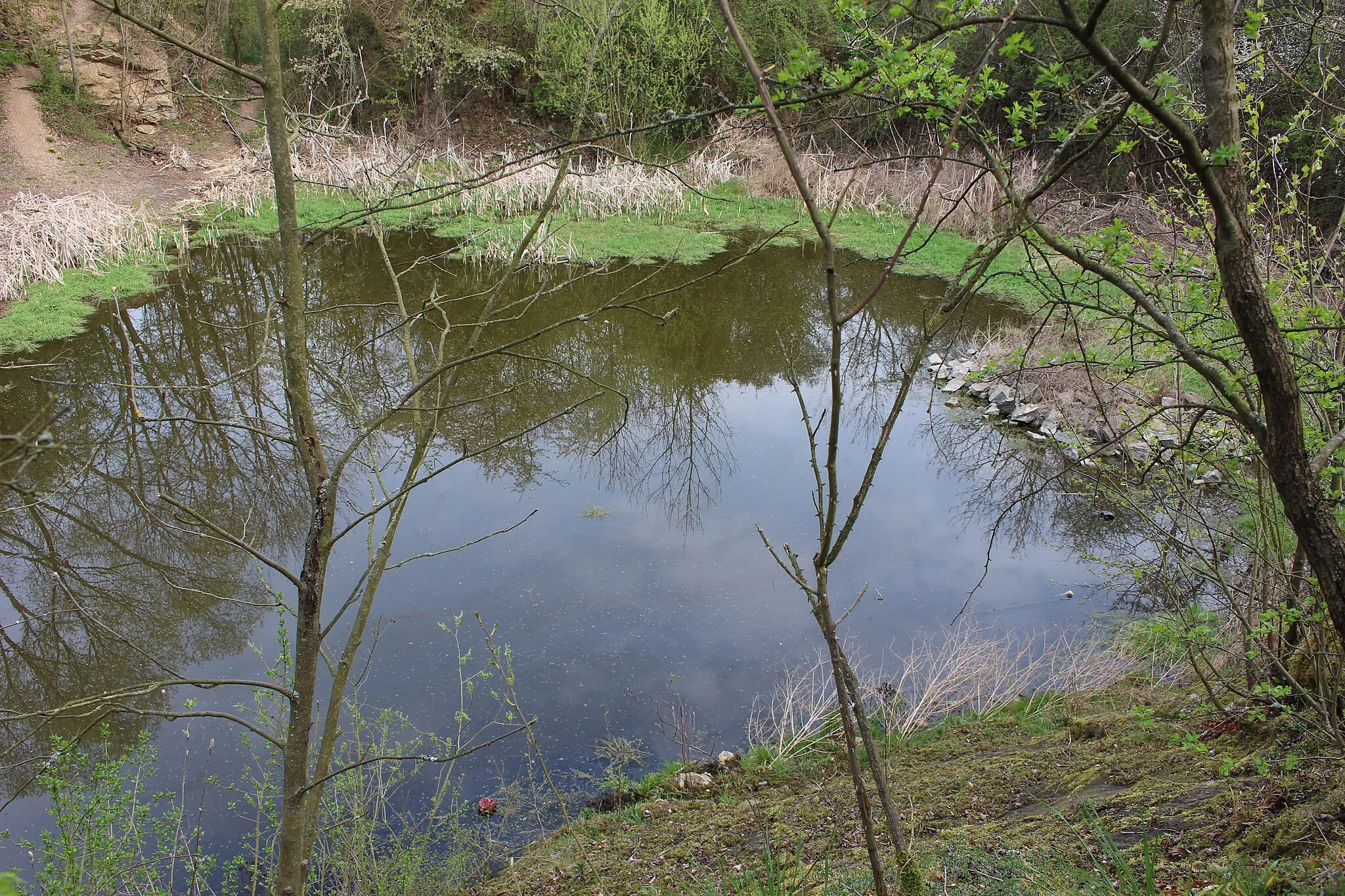 Photo showing: Zatopený lom Marešovka u Popovic