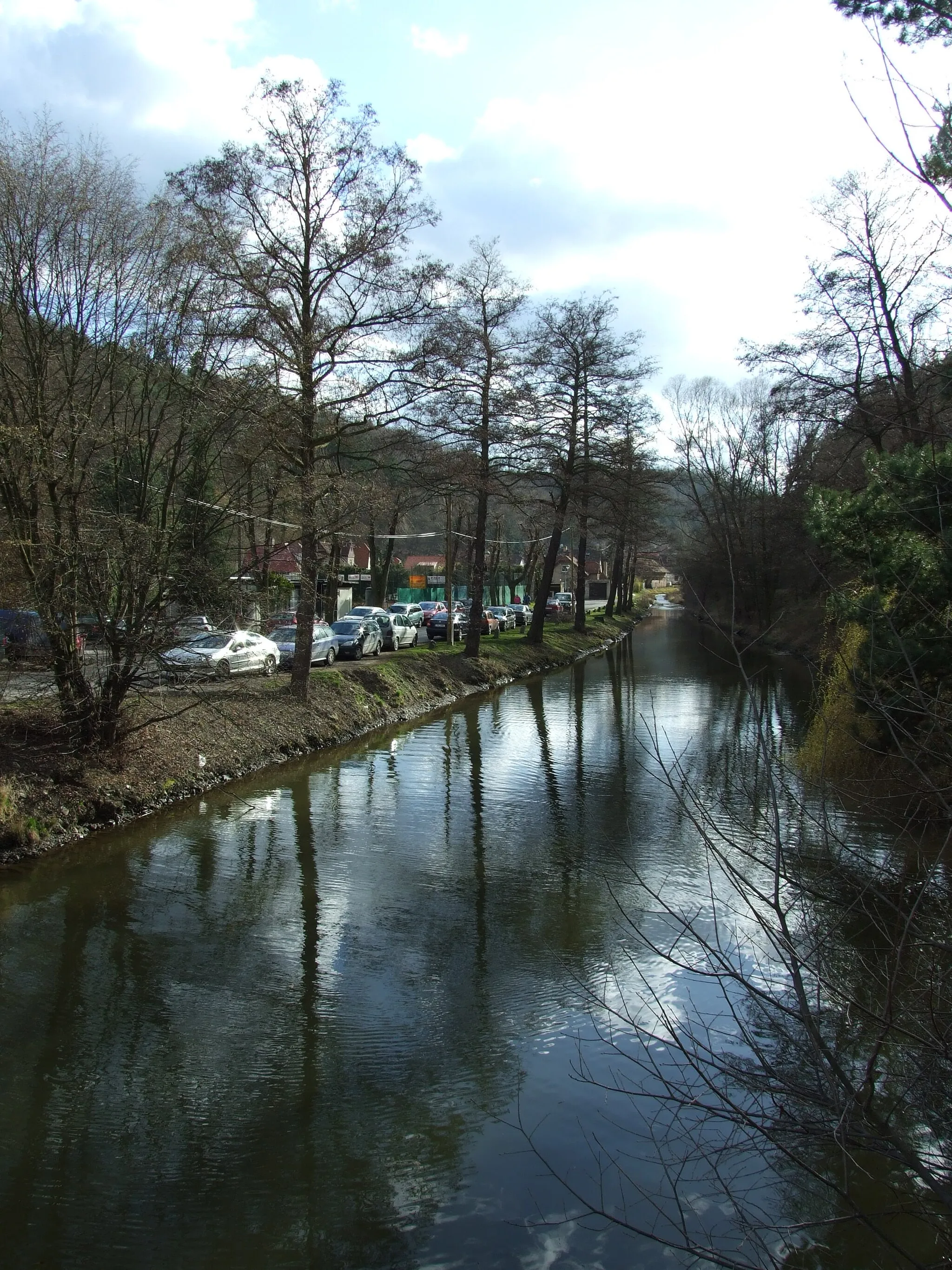 Photo showing: Bojovský potok creek in Central Bohemian region, CZ