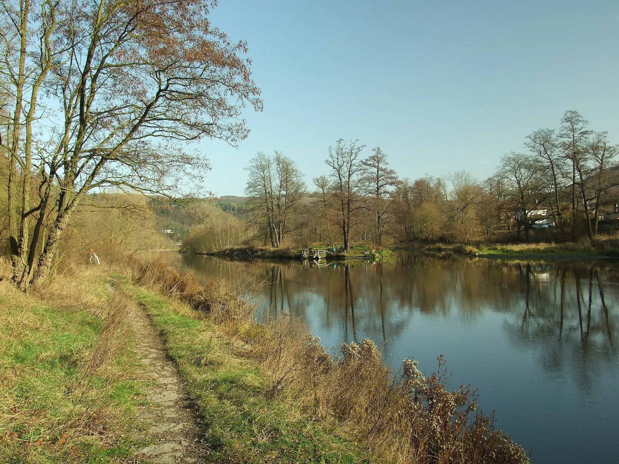 Photo showing: Sázava River near Pikovice, Central Bohemian Region CZ