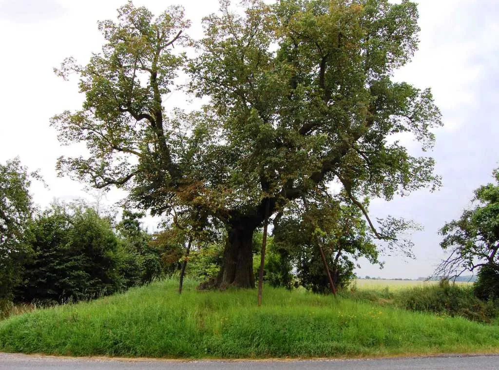 Photo showing: Drahelčice, old lime