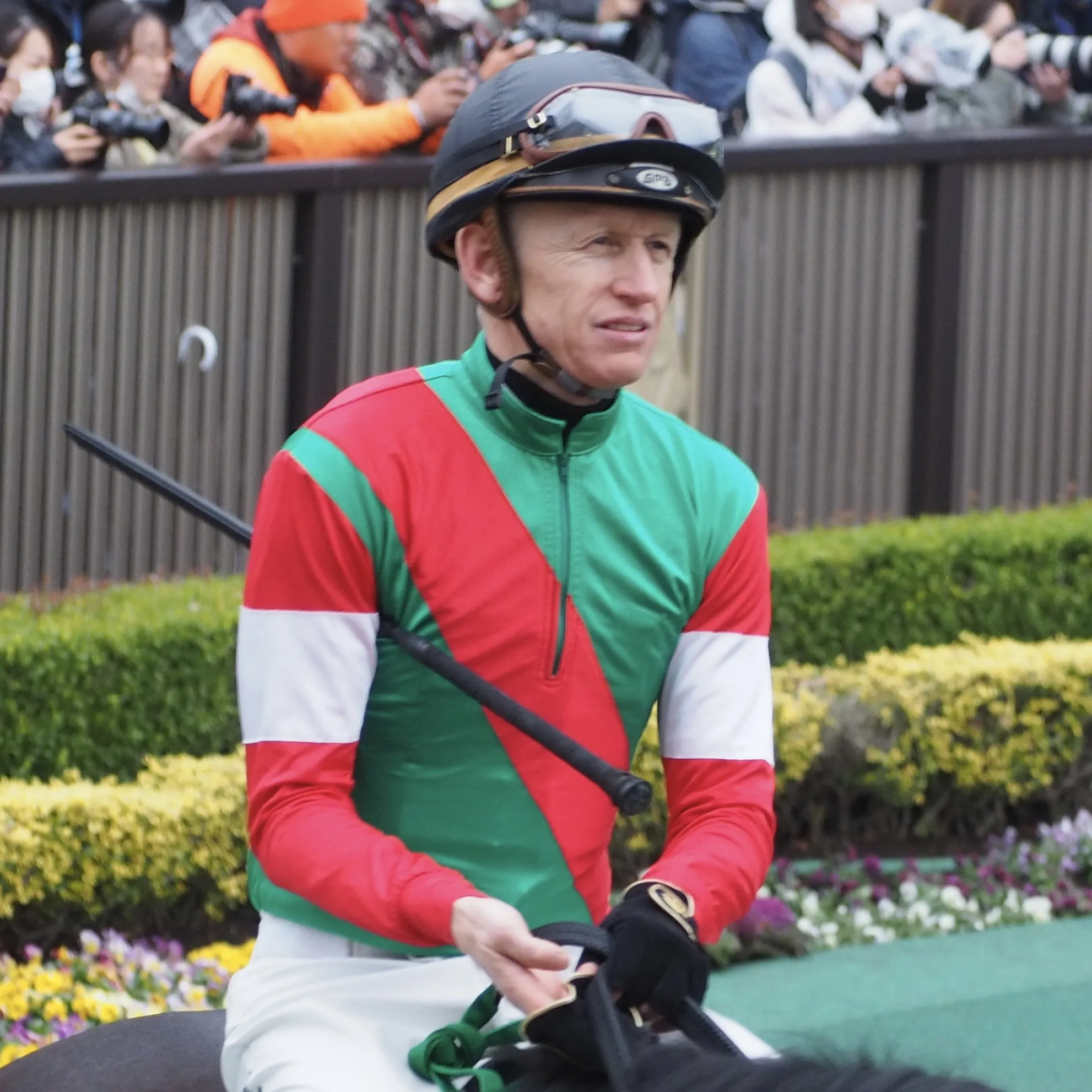 Photo showing: フィリップ・ミナリク/東京競馬場