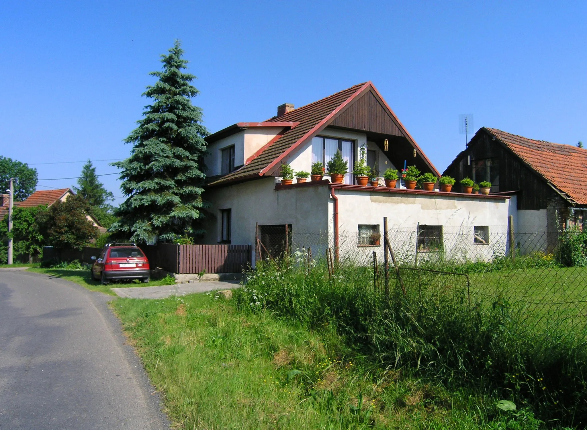 Photo showing: Common in Křížkový Újezdec, Czech Republic