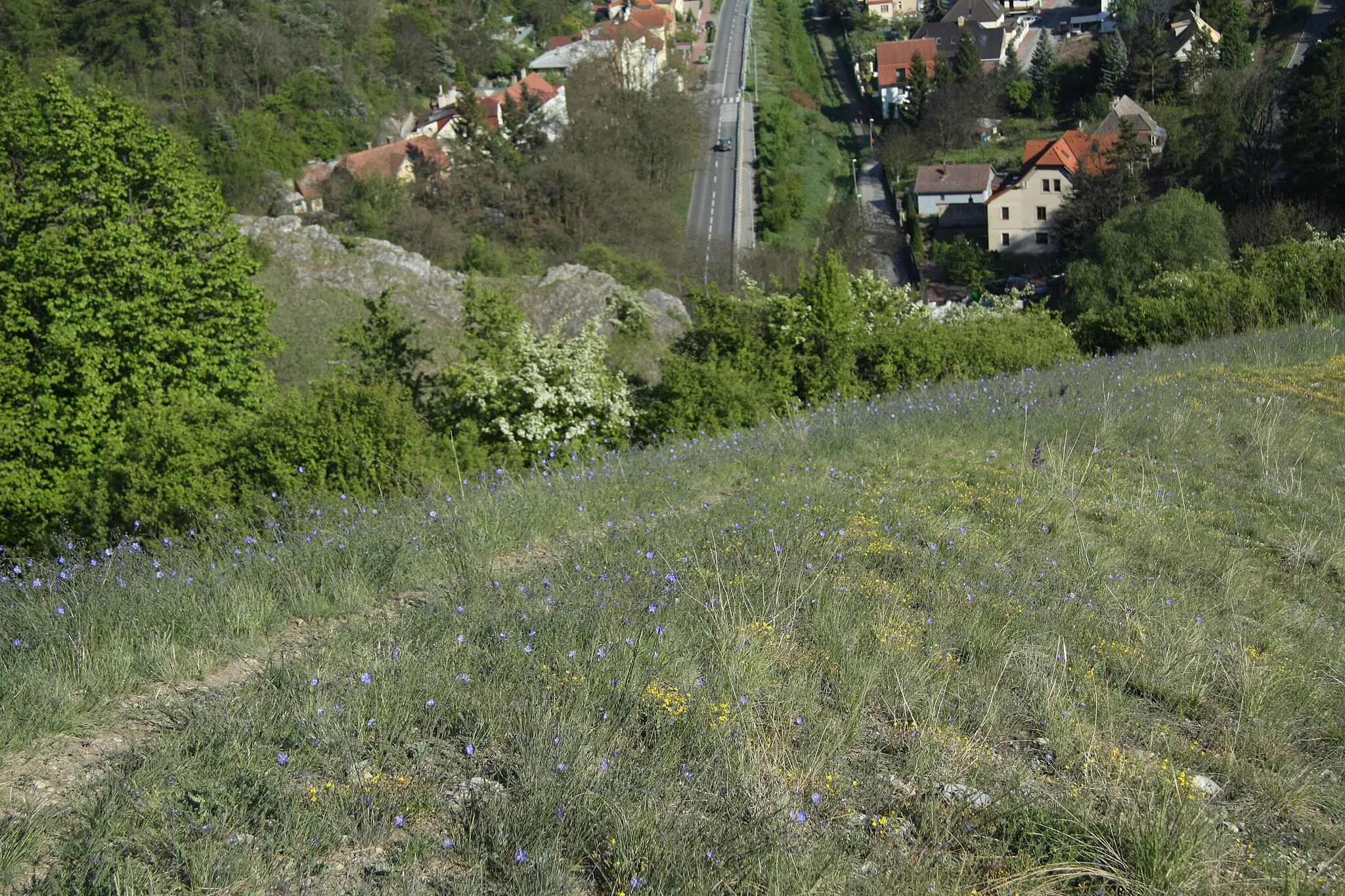 Photo showing: Natural reserce Homolka, Velká Chuchle, part of Prague, Czech republic