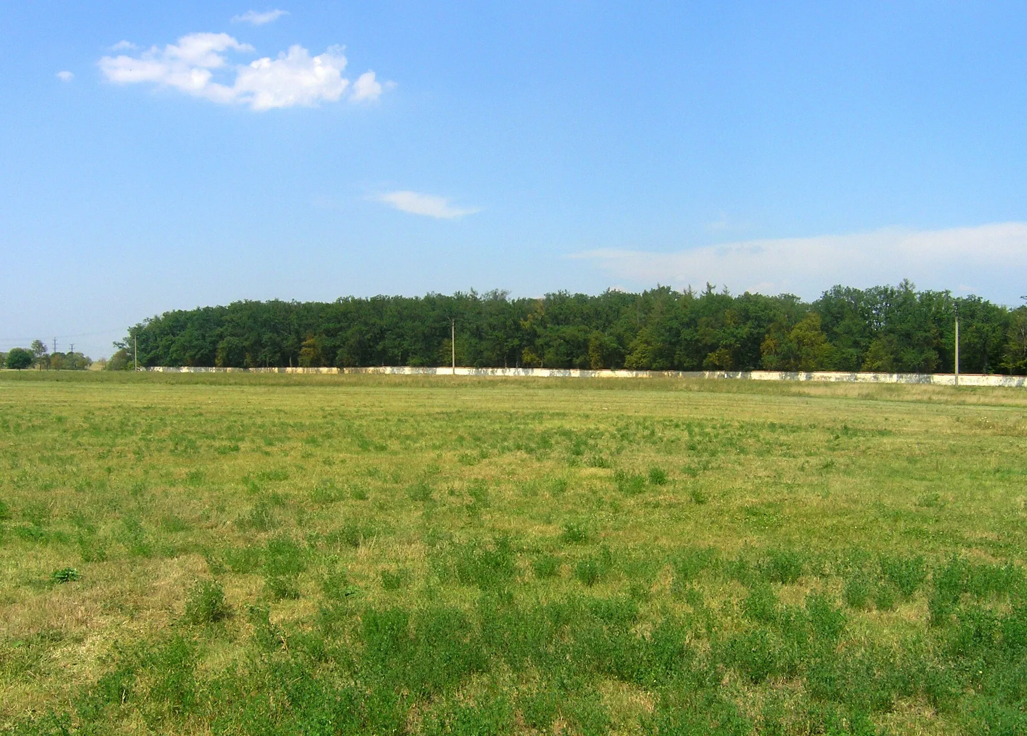 Photo showing: Koloděje game preserve park, Prague - view from Hájek near Uhříněves