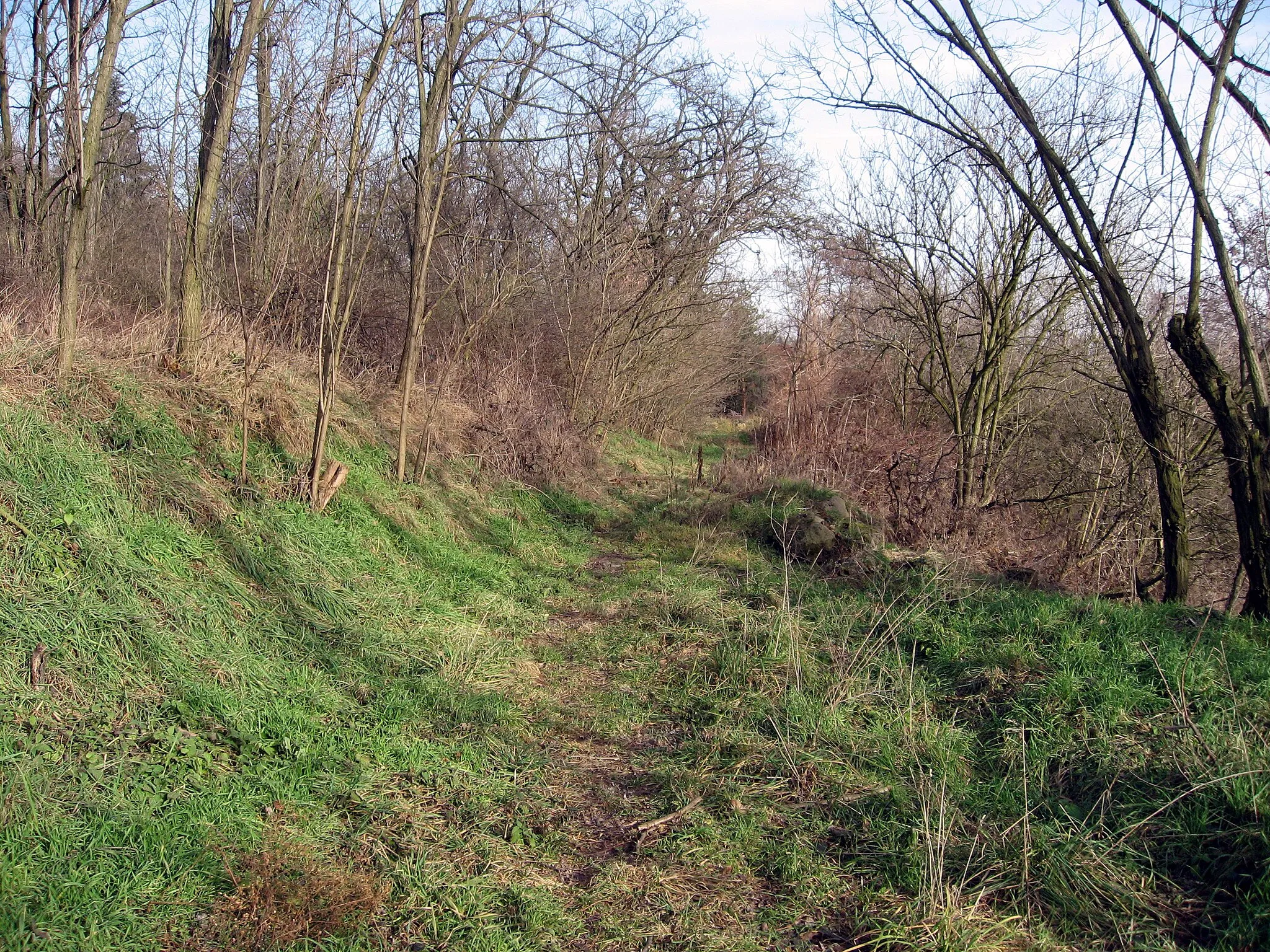 Photo showing: Hrdlořezy, stará cesta