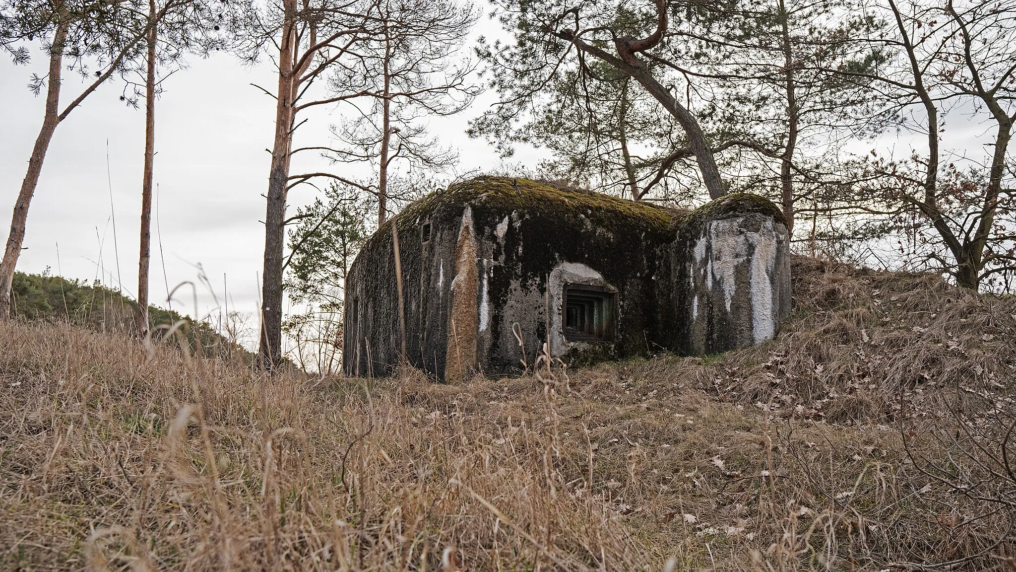 Photo showing: Bunker československého predvojnového opevnenia novšieho typu v obci Gajary