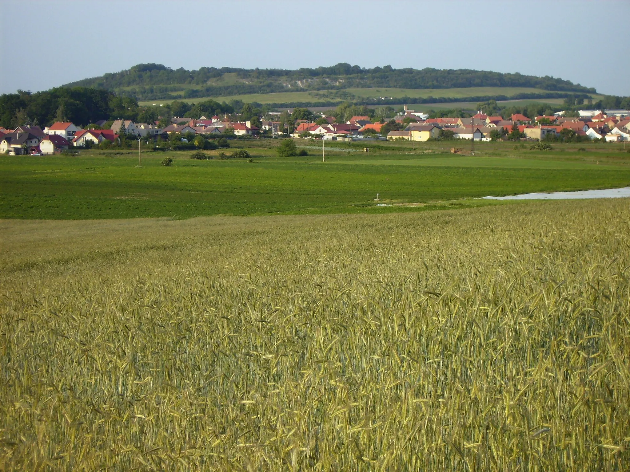 Photo showing: Přerov nad Labem pod Přerovskou hůrou.