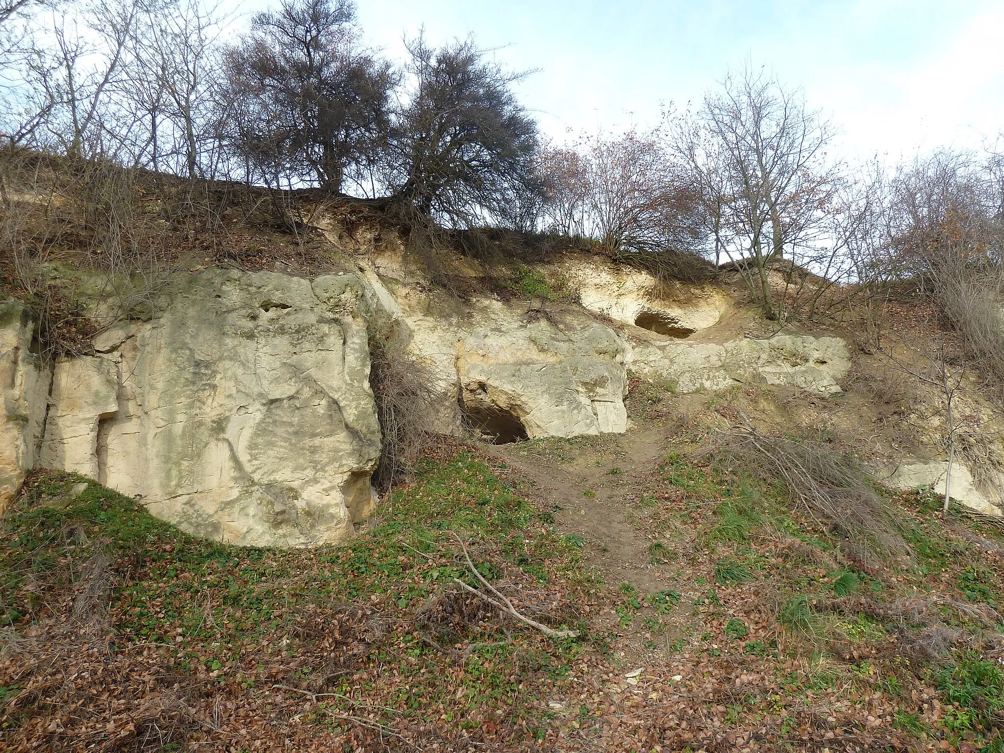 Photo showing: Vidoule - Natural monument