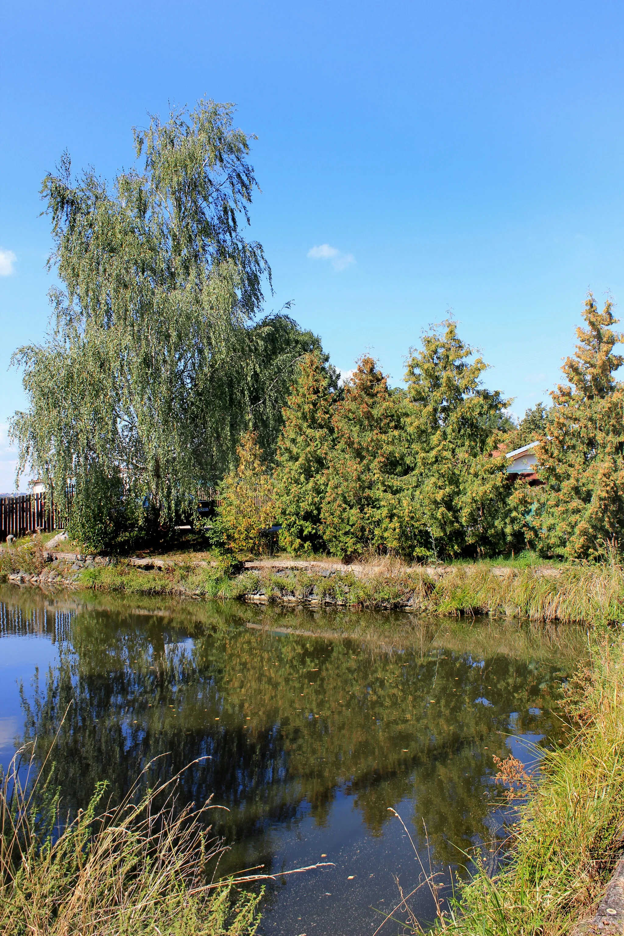 Photo showing: Small pond in Černá Hora, part of Dymokury, Czech Republic.