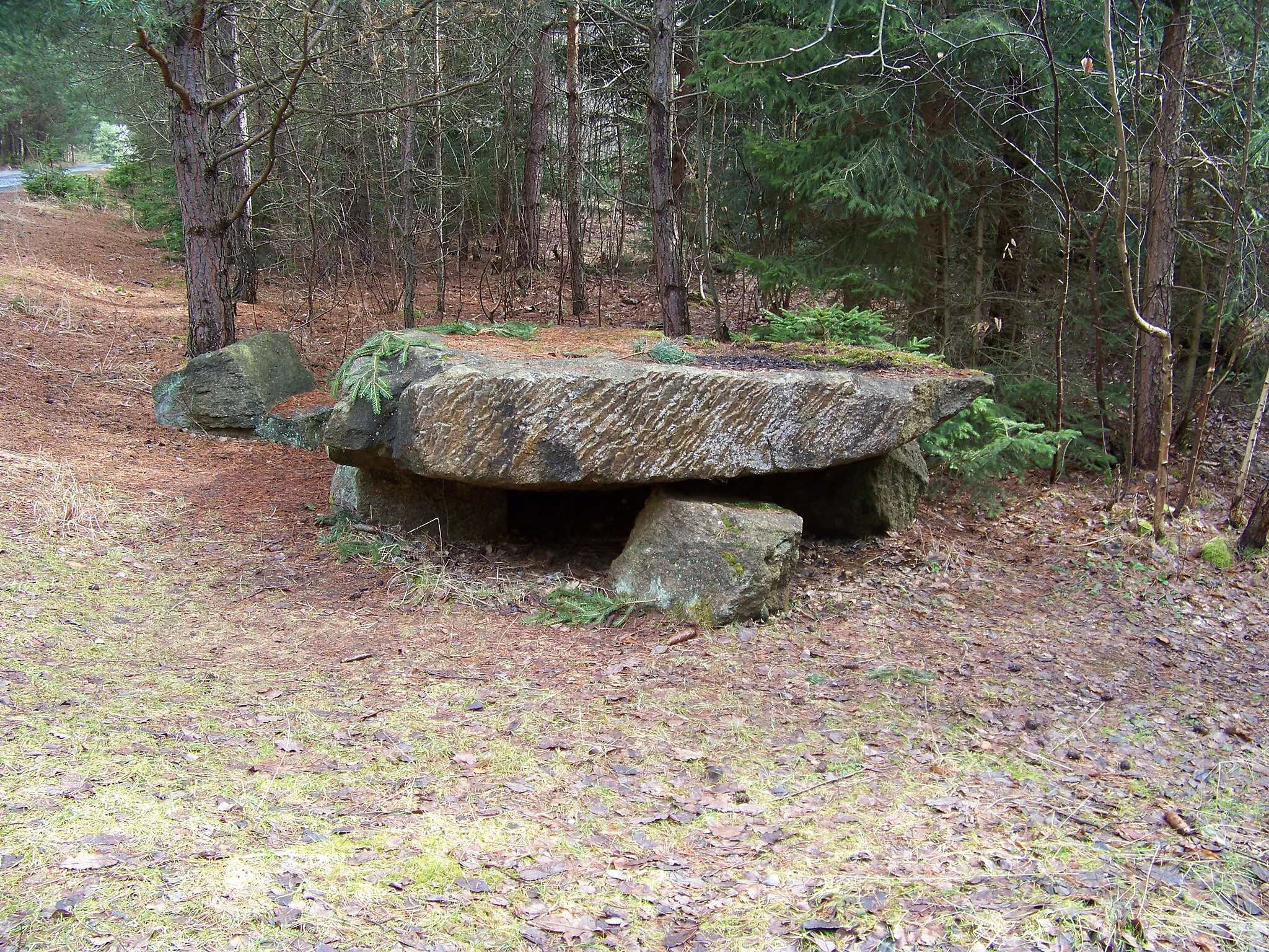 Photo showing: Horní Požáry Forest, the Czech Republic. A stone table.