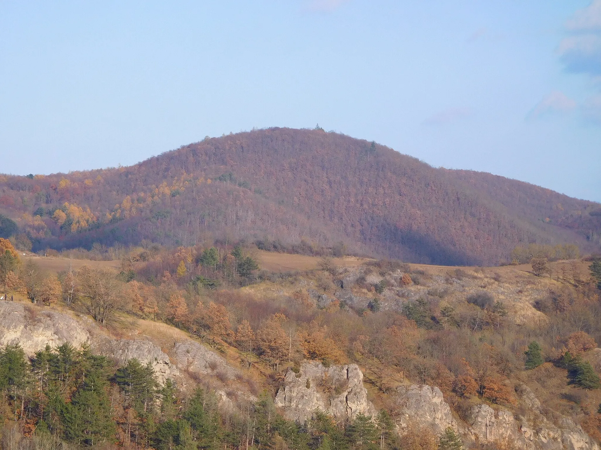 Photo showing: Vysoká stráň (435 m) - pohled z Tetína