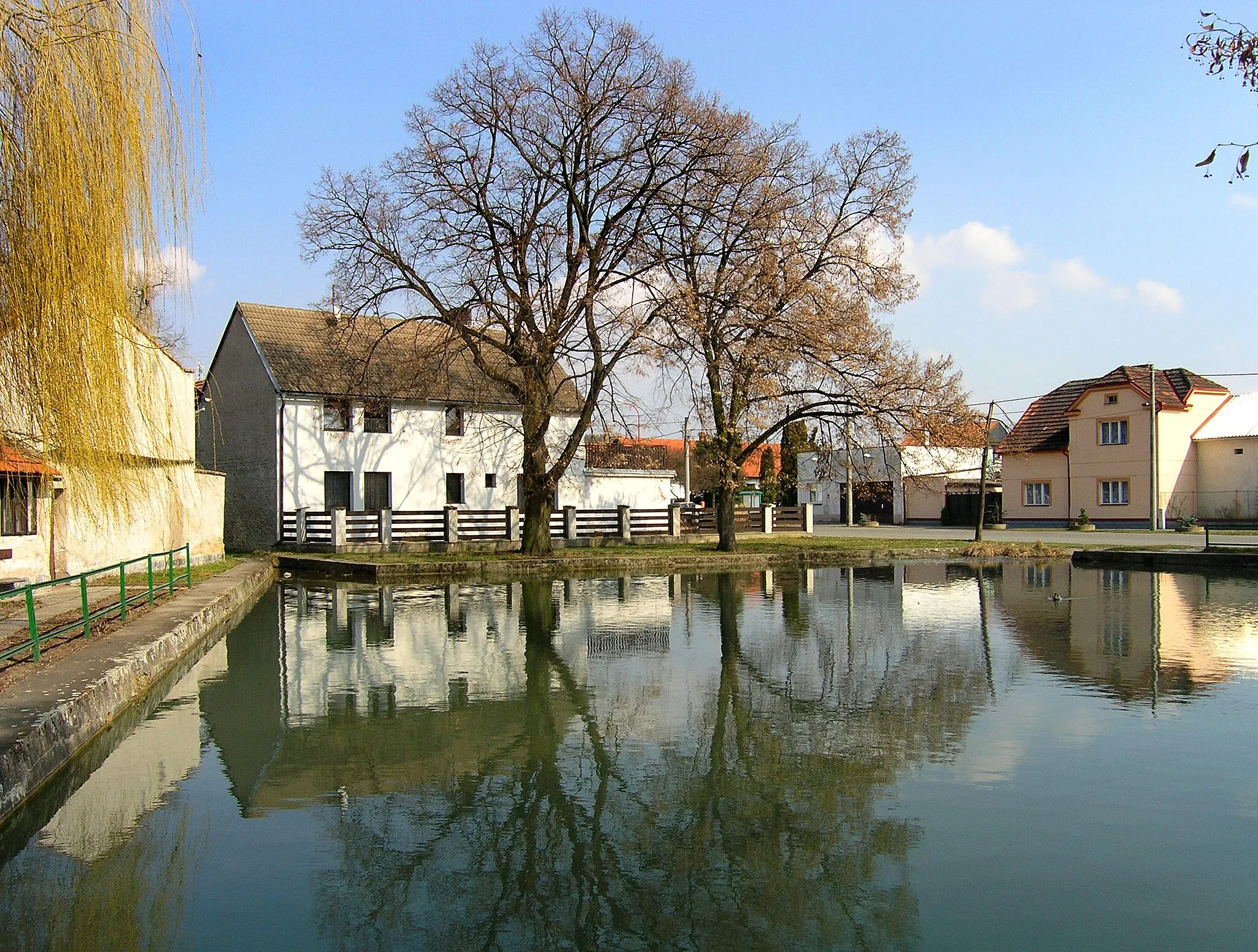 Photo showing: Common pond in Konětopy village, Czech Republic