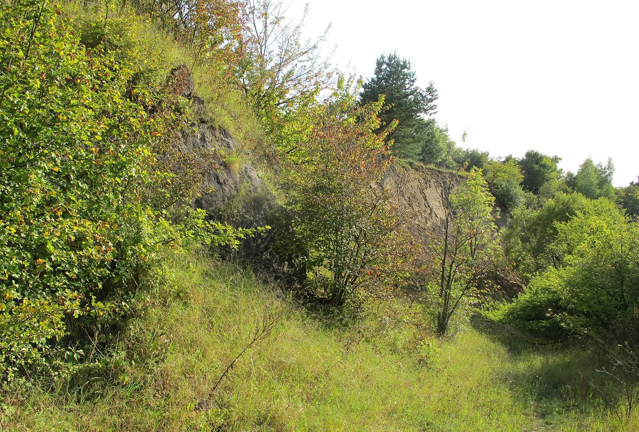Photo showing: Natural monument Lom Kozolupy near villages Kozolupy, Bubovice and Mořina, Beroun District in Czech Republic