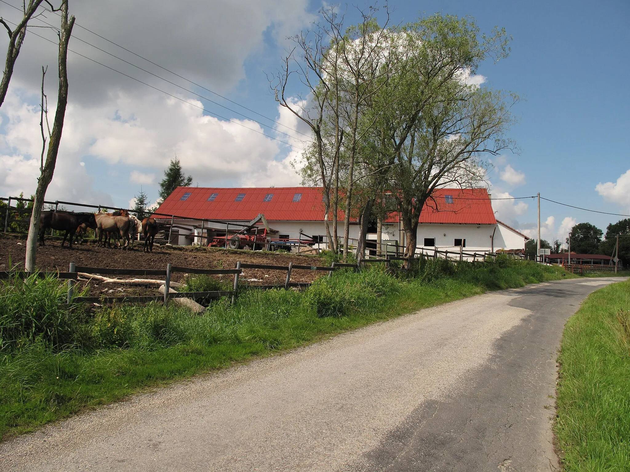 Photo showing: Farm with horses in Věřice village, Benešov District, Czech Republic.