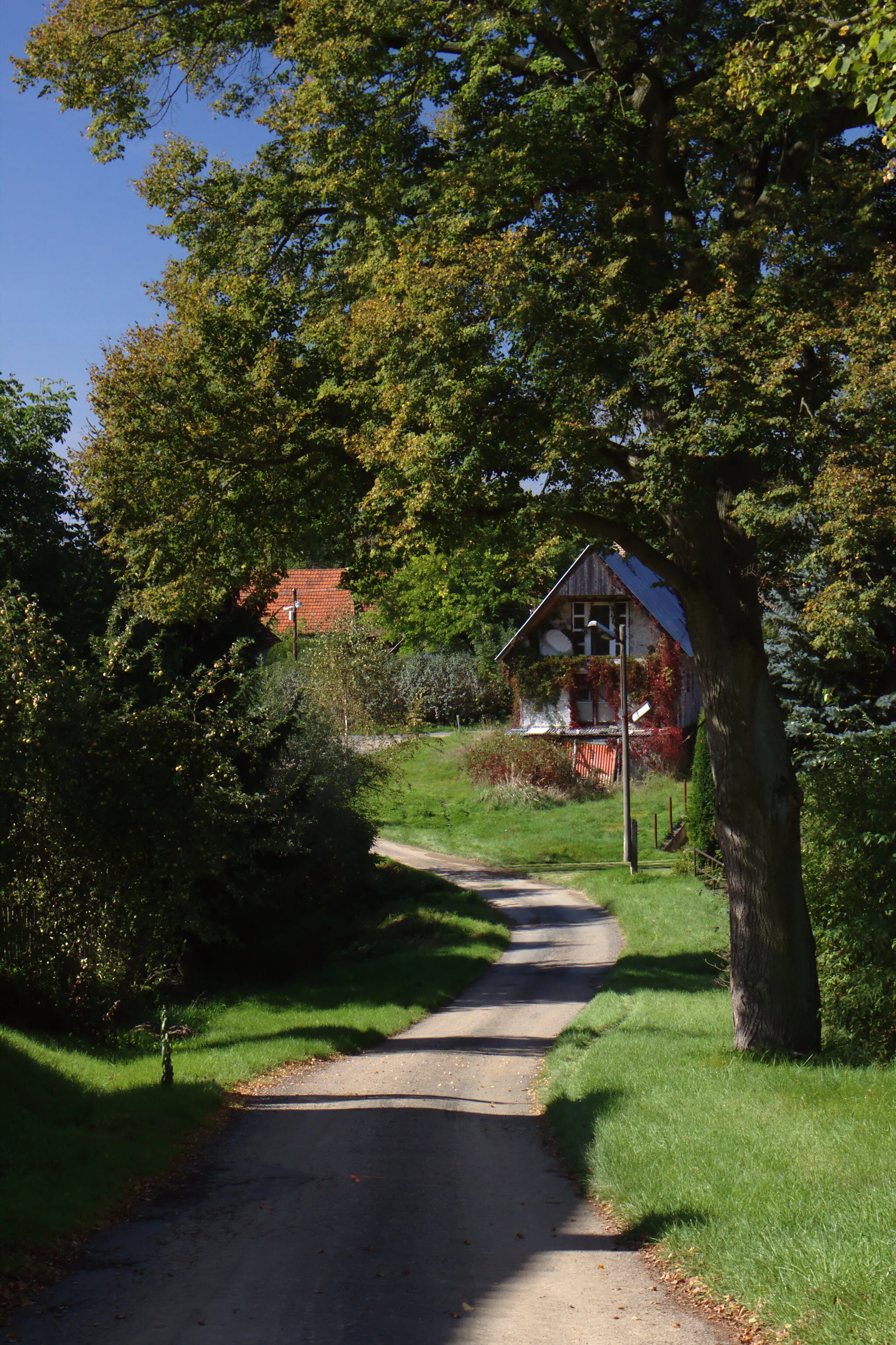 Photo showing: A path in Vrancie near Zbizuby, Central Bohemia, CZ