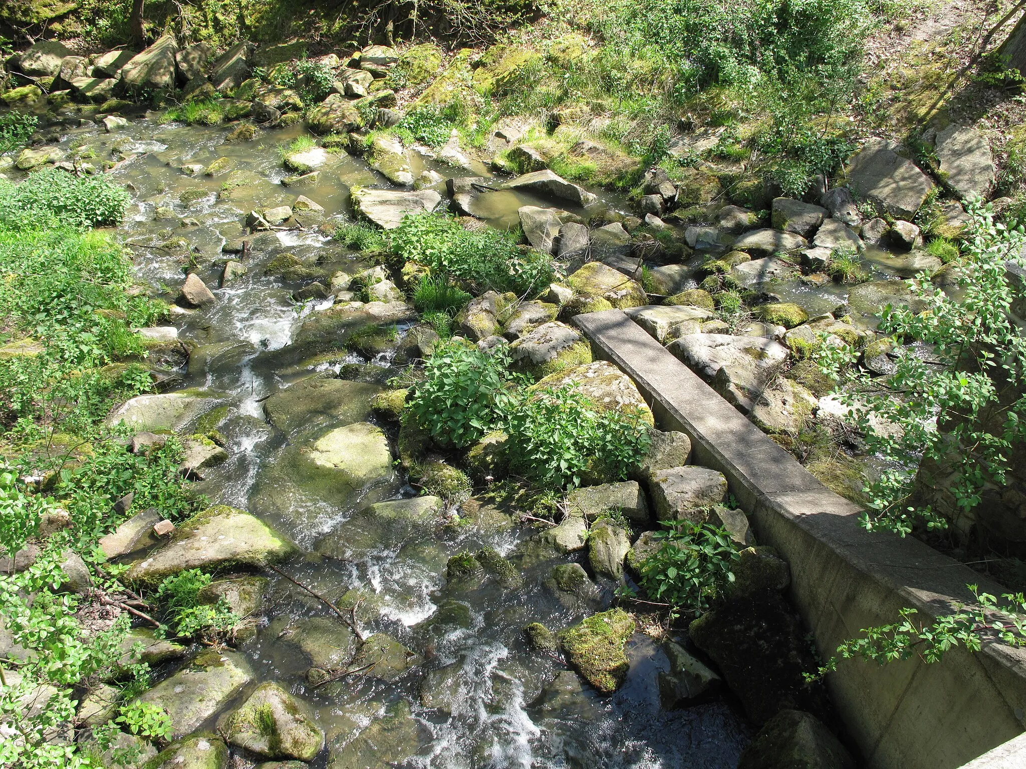 Photo showing: Vyžlovský pond on the Jevanské stream. Praha-východ District, Czech Republic.