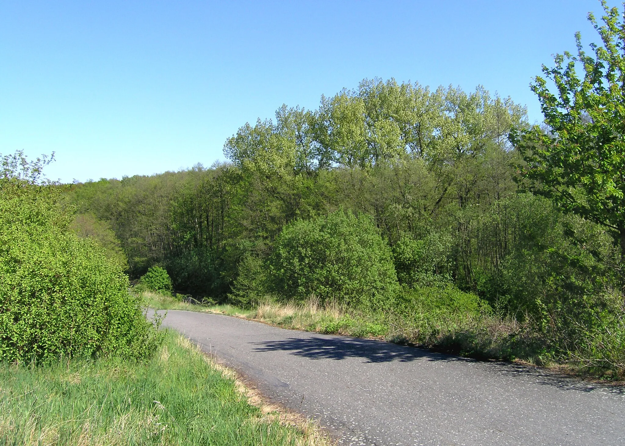 Photo showing: Milíčovský forest, Prague. View from Milíčovský hill