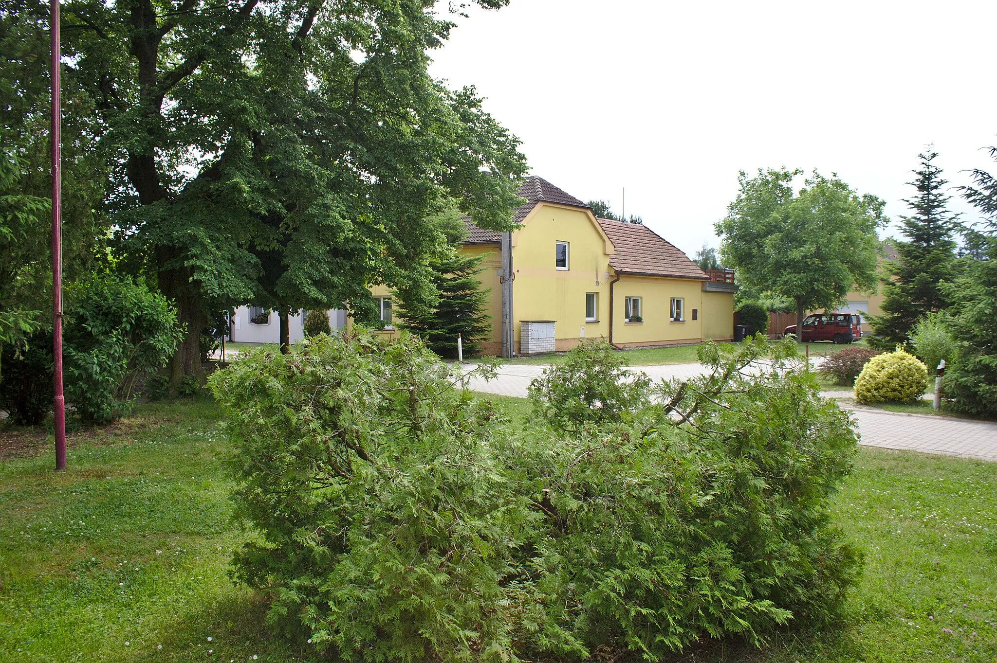 Photo showing: A common in Sedlčánky, Central Bohemian Region, CZ