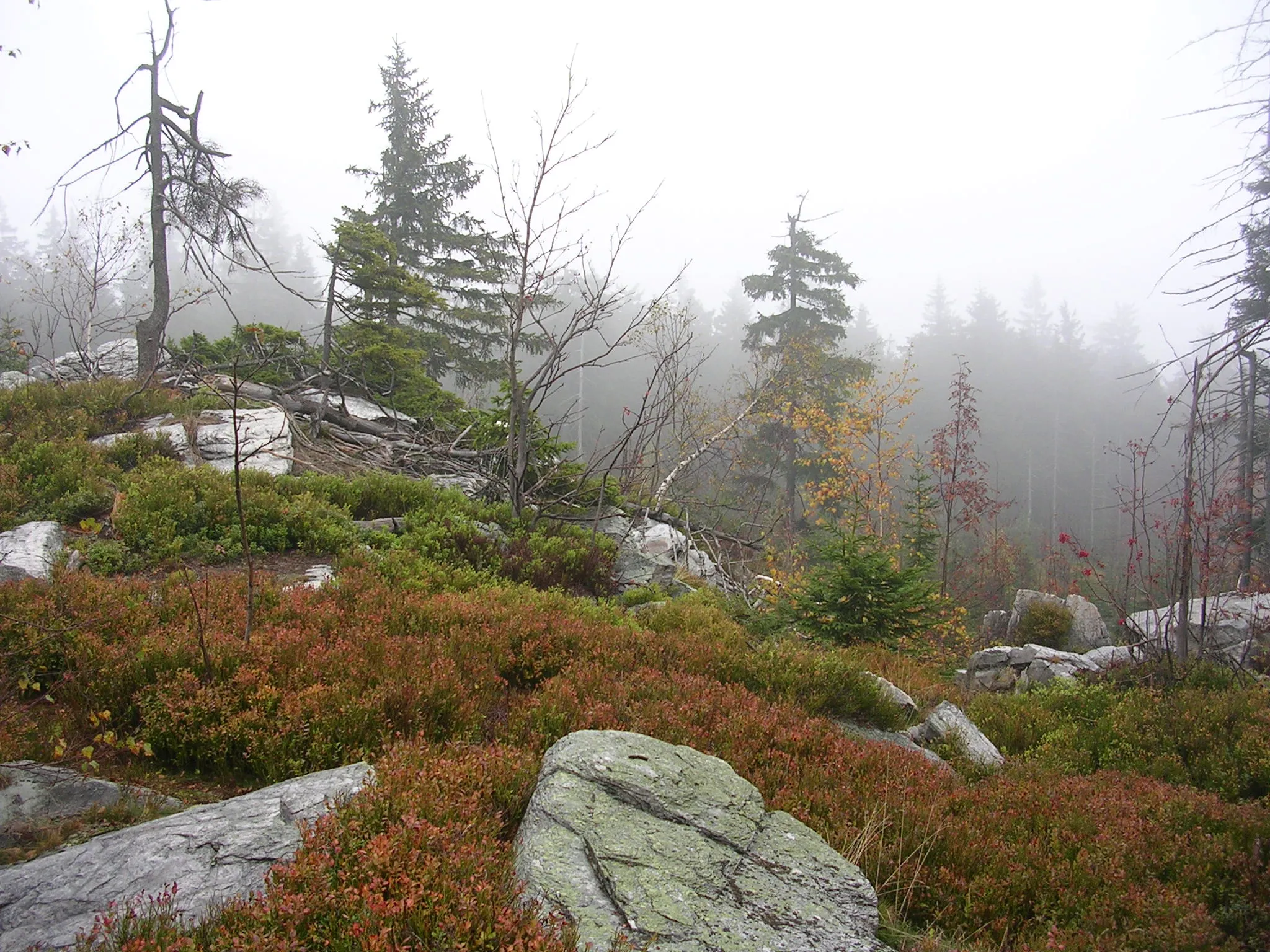 Photo showing: Paseky nad Jizerou, Semily District, Liberec Region, the Czech Republic. Bílá skála (White Rock).