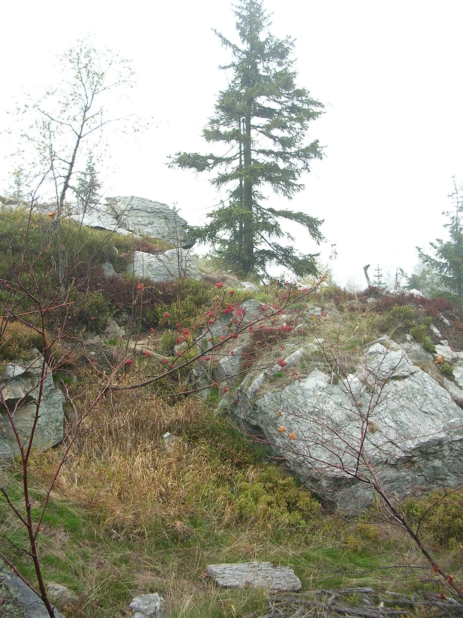 Photo showing: Paseky nad Jizerou, Semily District, Liberec Region, the Czech Republic. Bílá skála (White Rock).