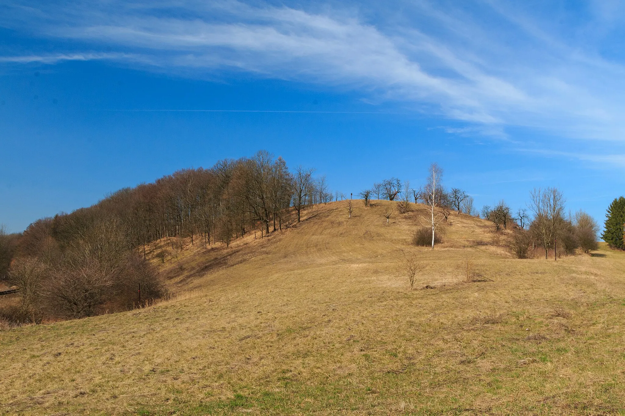 Photo showing: PR Zámělský borek

This file was created as a part of the photographic program of Wikimedia Czech Republic. Project: Chráněná území The program supports Wikimedia Commons photographers in the Czech Republic.