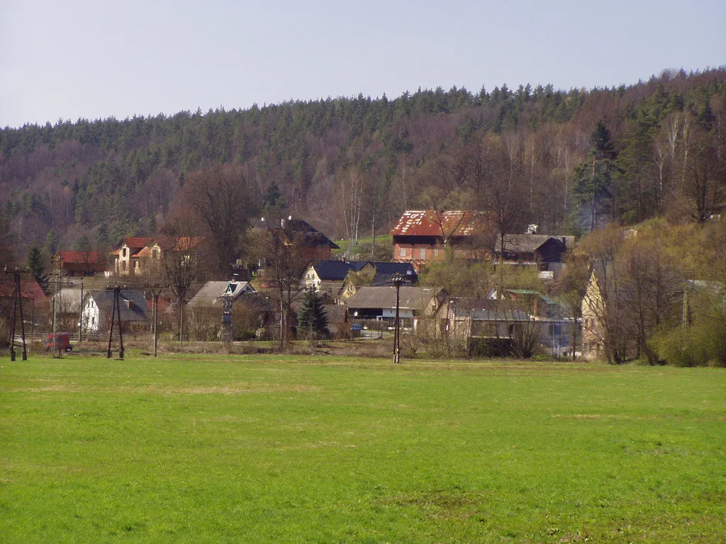 Photo showing: Třtí