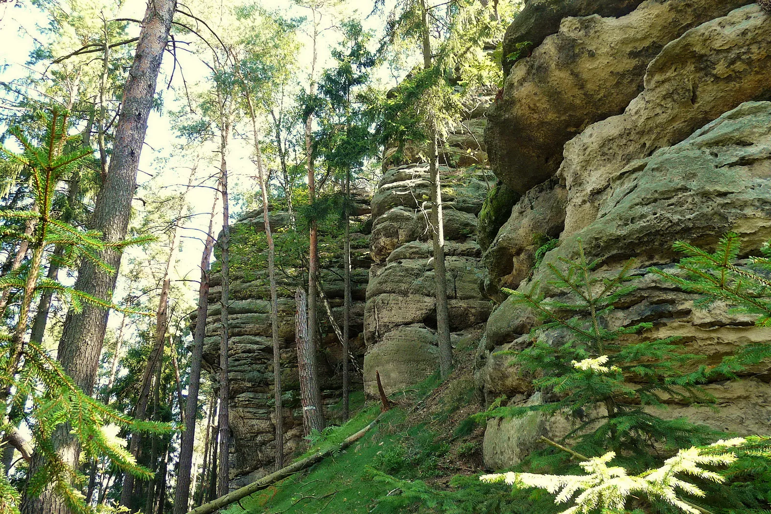 Photo showing: Pískovce na Chrbech