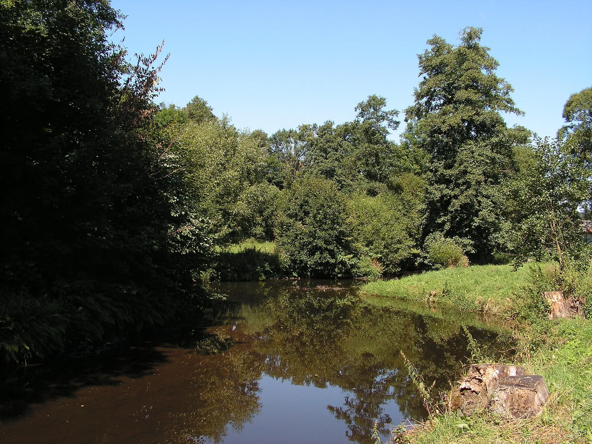 Photo showing: Pohled na řeku Svratku (v popředí snímku) pod ústím Bílého potoka (na pozadí snímku vpravo)