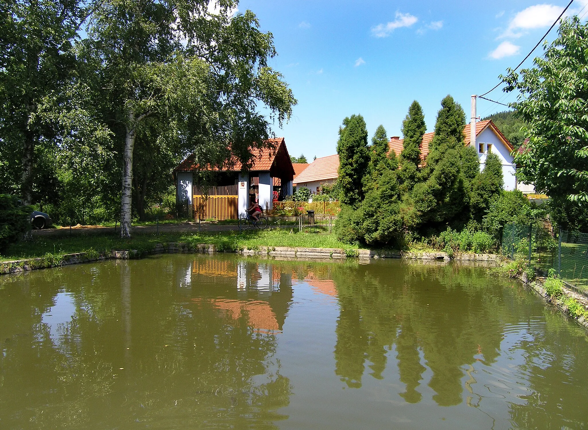 Photo showing: Common pond in Žlebské Chvalovice, Czech Republic