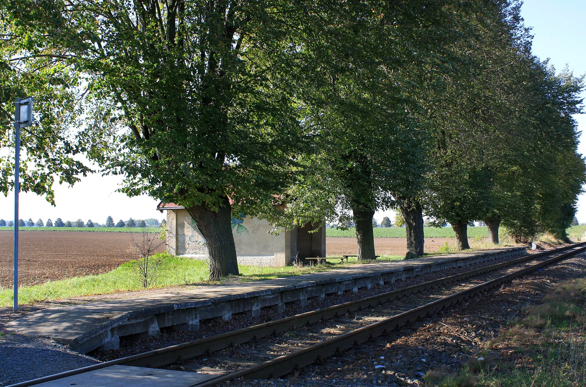 Photo showing: Train stop in Vejvanovice, Czech Republic