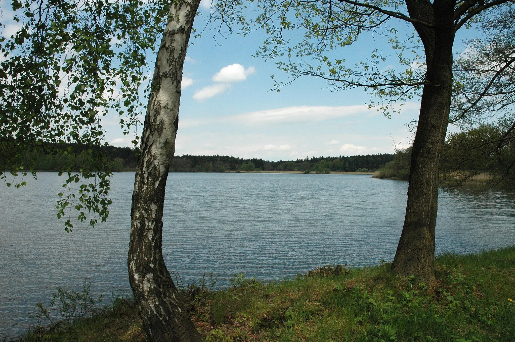 Photo showing: Nature reserve Strádovka in Chrudim District, Czech Republic