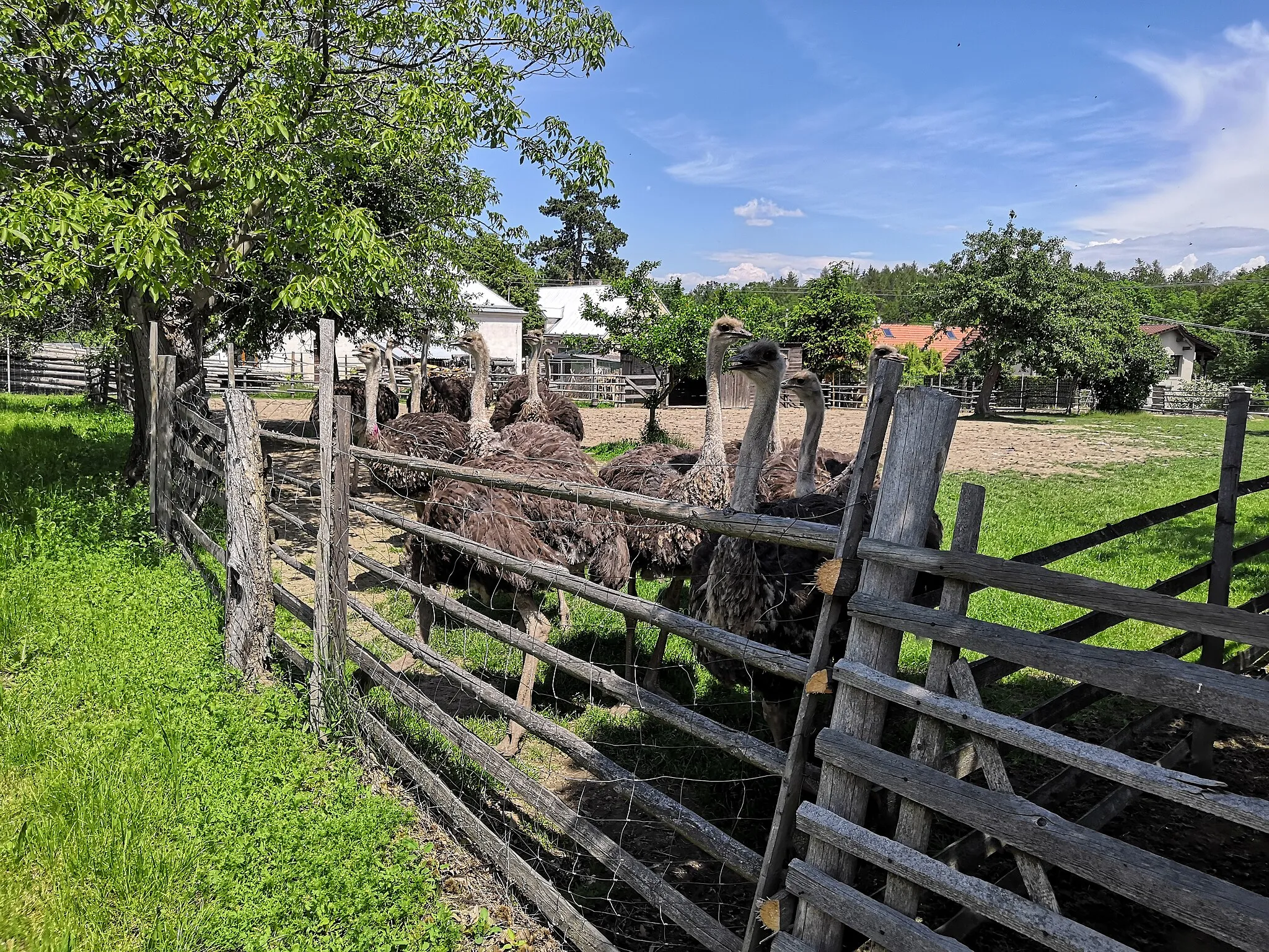 Photo showing: Nasavrky, Chrudim District, Czechia, part Libáň.