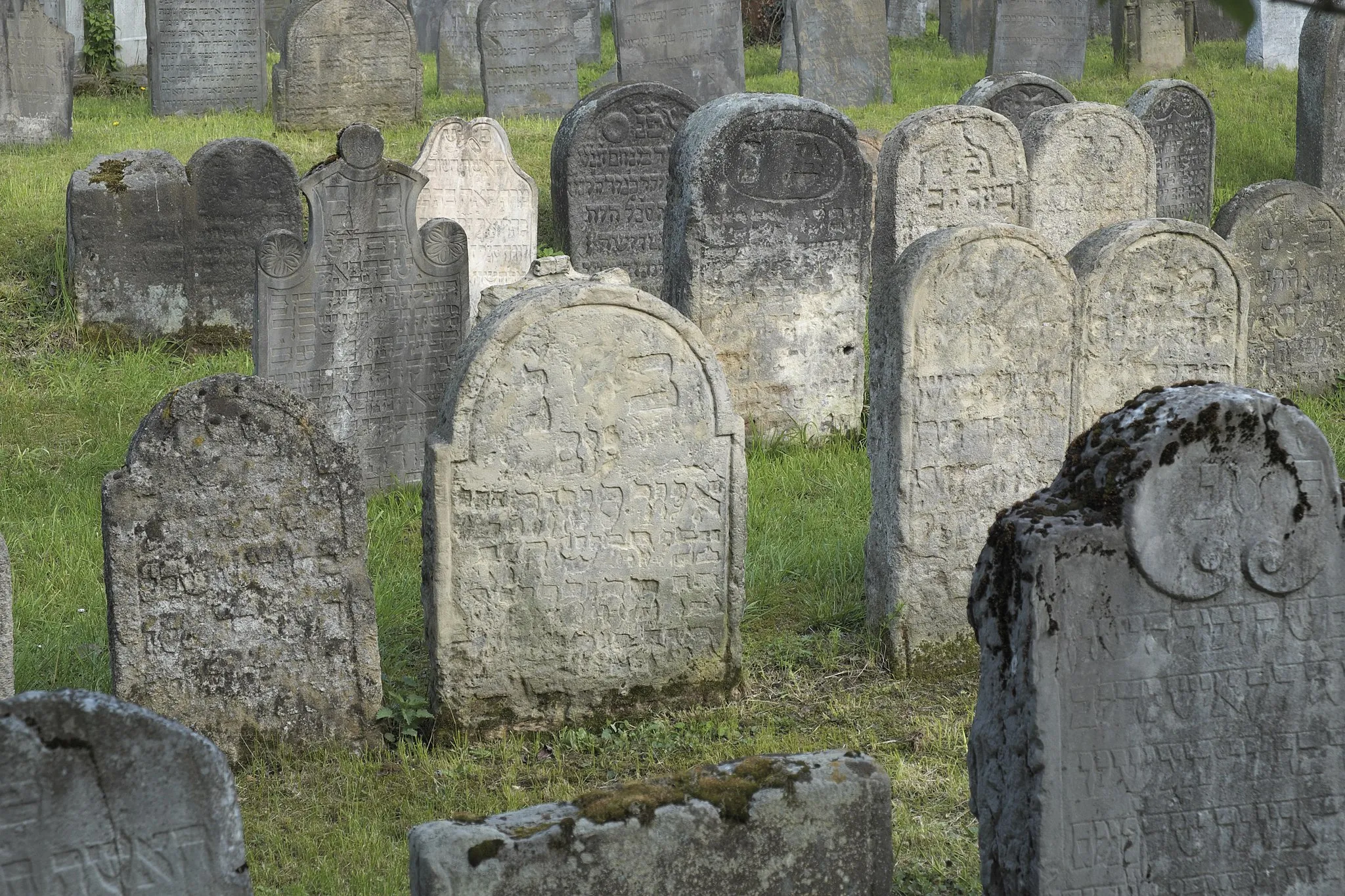 Photo showing: Jüdischer Friedhof in Heřmanův Městec im Okres Chrudim in der Pardubitzer Region (Pardubický kraj, Tschechien), Grabsteine