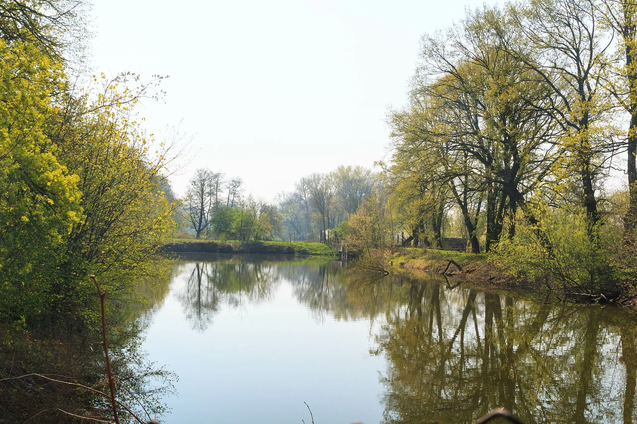 Photo showing: Třebosický rybník