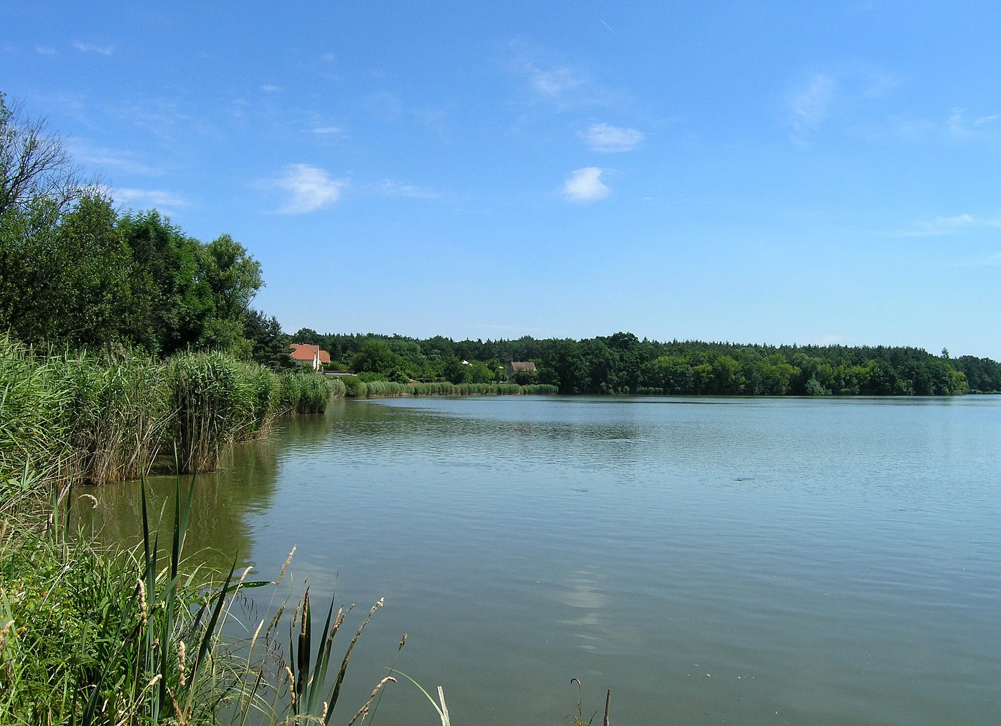 Photo showing: Buňkov pond in Břehy, Czech Republic