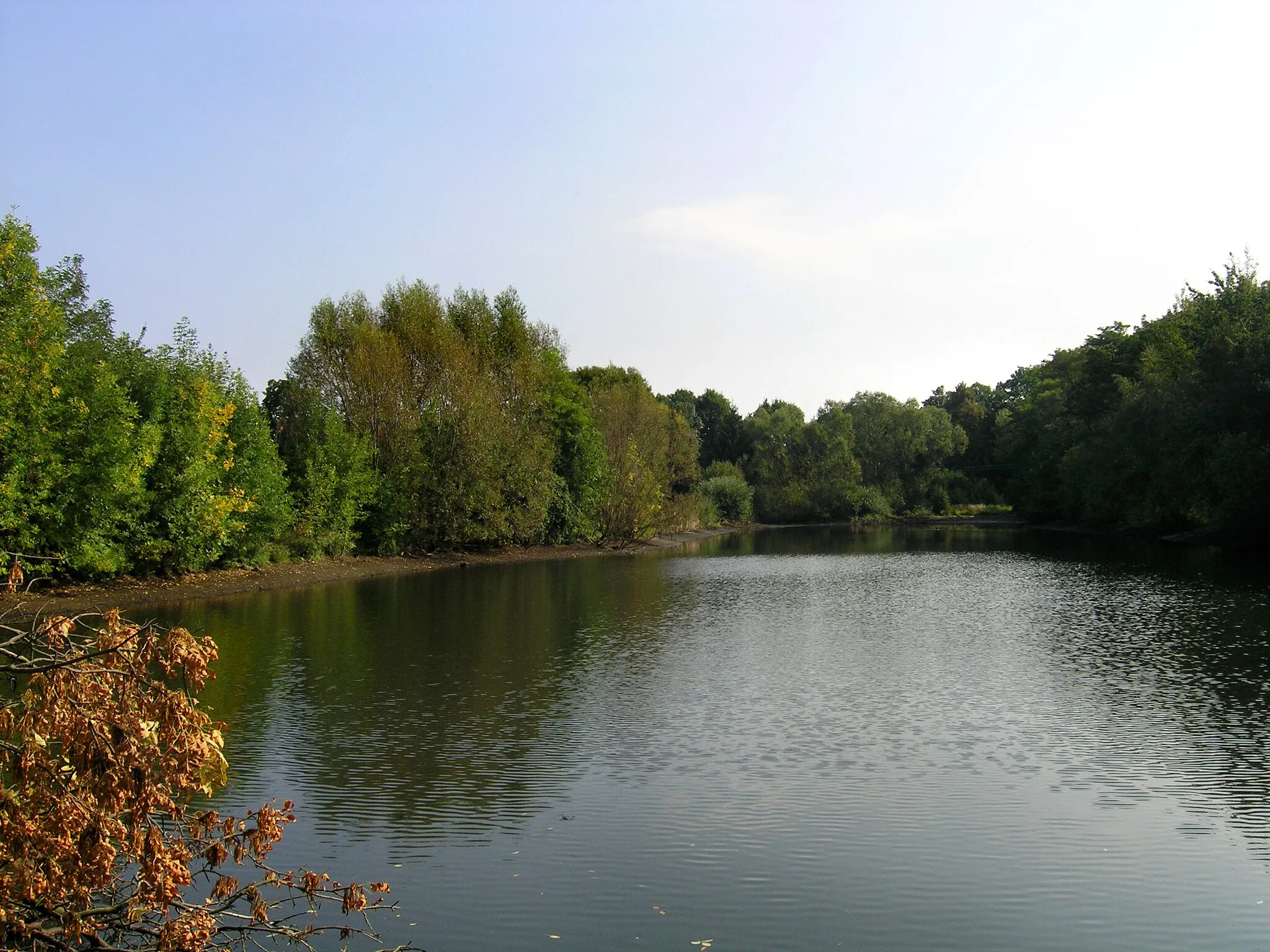 Photo showing: West pond in Kunčice, Czech Republic