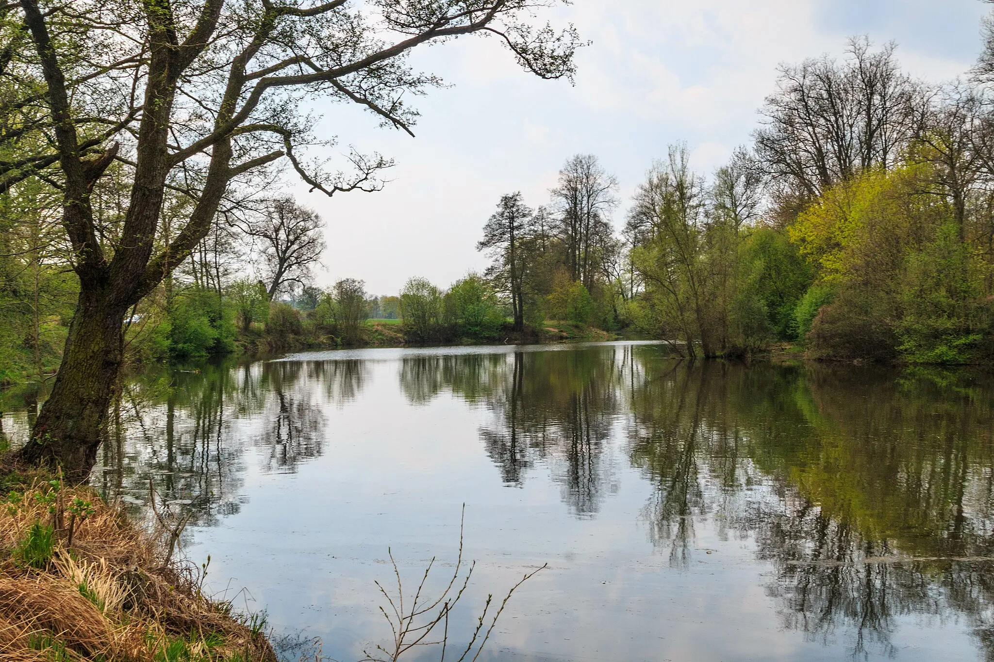 Photo showing: Staré rameno Labe u Hradce Králové