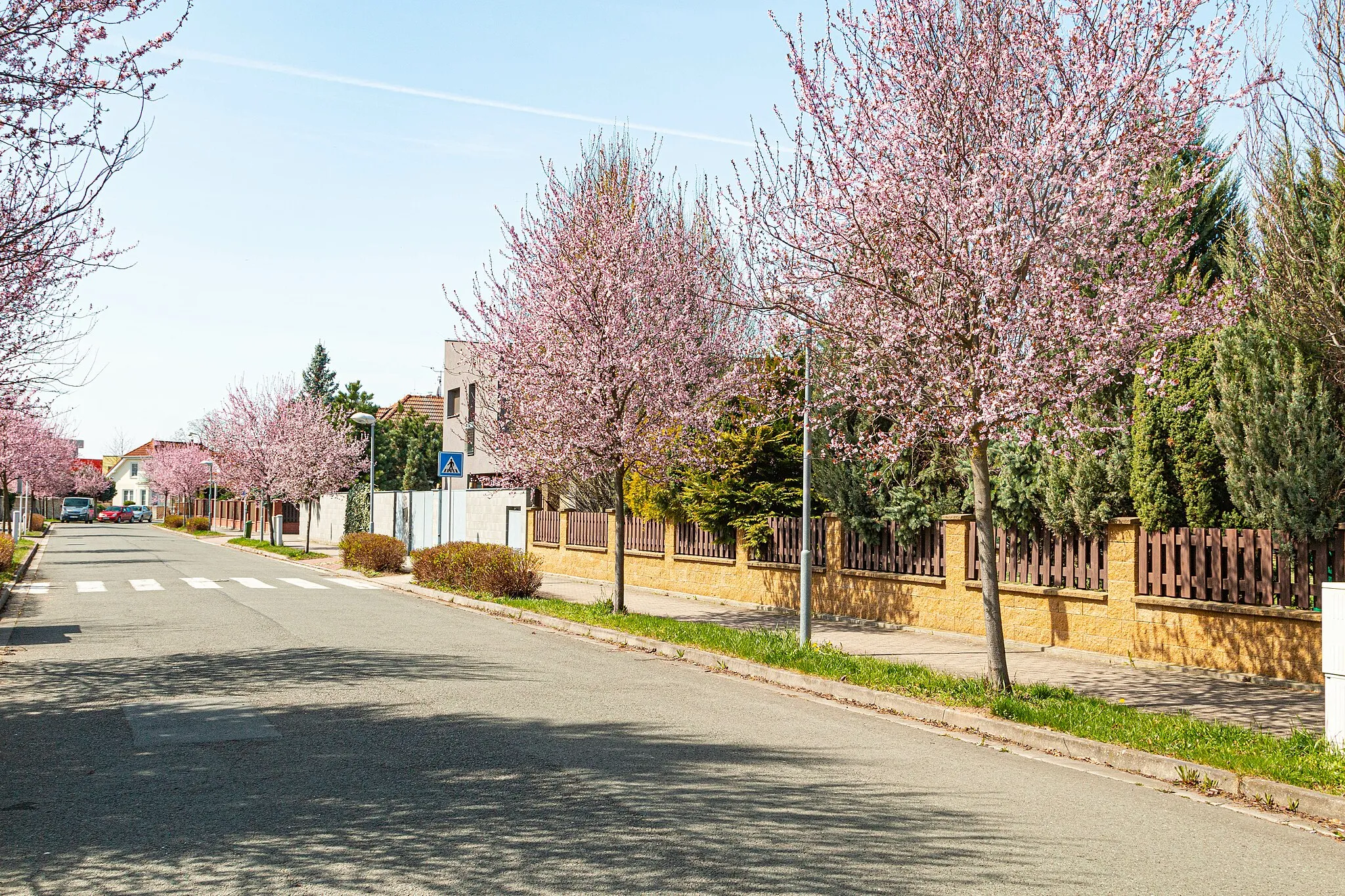 Photo showing: Věkoše - ulice Gruzínská