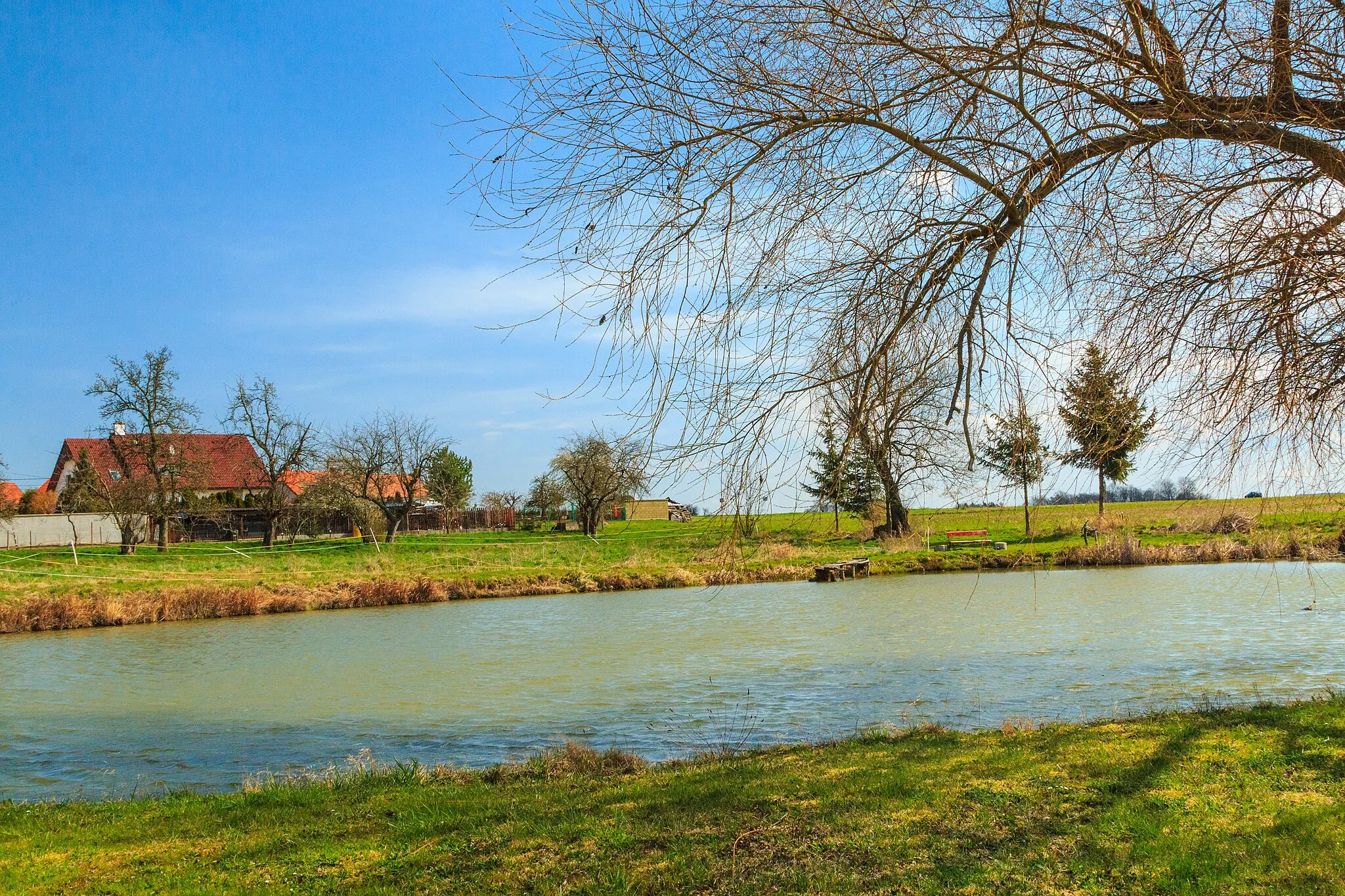 Photo showing: Rybník Sádka u Barchova